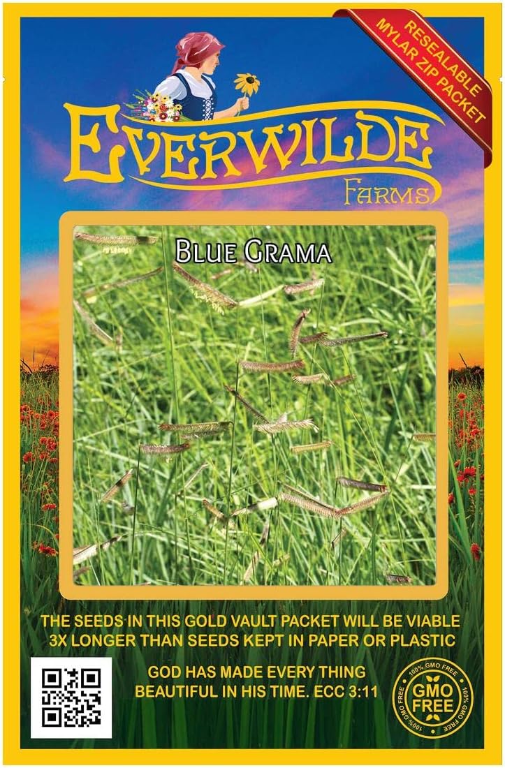 1000 Blue Grama Native Grass Seeds - Gold Vault Jumbo Seed Packet
