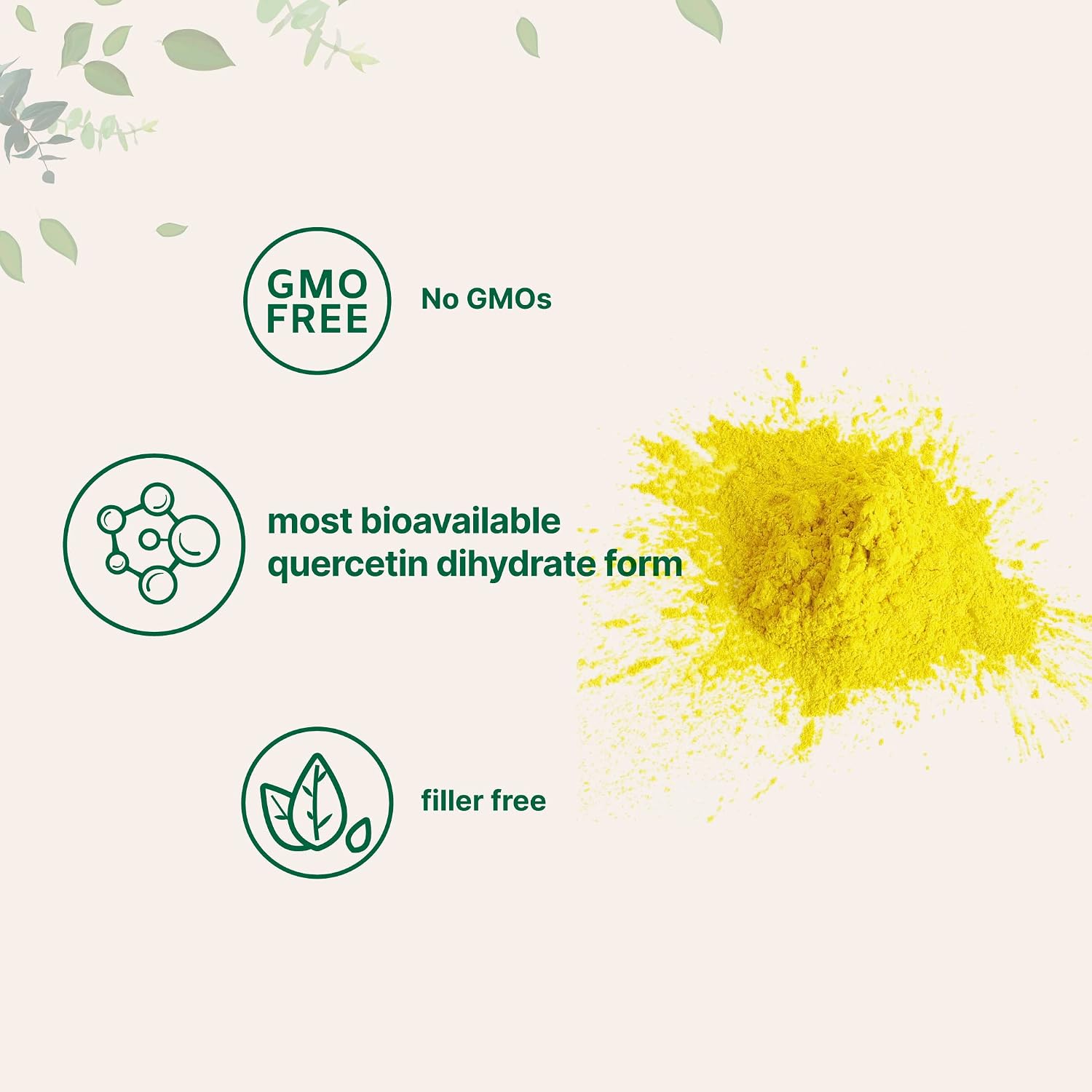 Pure Quercetin Dihydrate Powder, Quercetin 500mg Per Serving, 100 Grams, Most Bioavailable Grade and Filler Free, Powerful Antioxidant Supports Energy