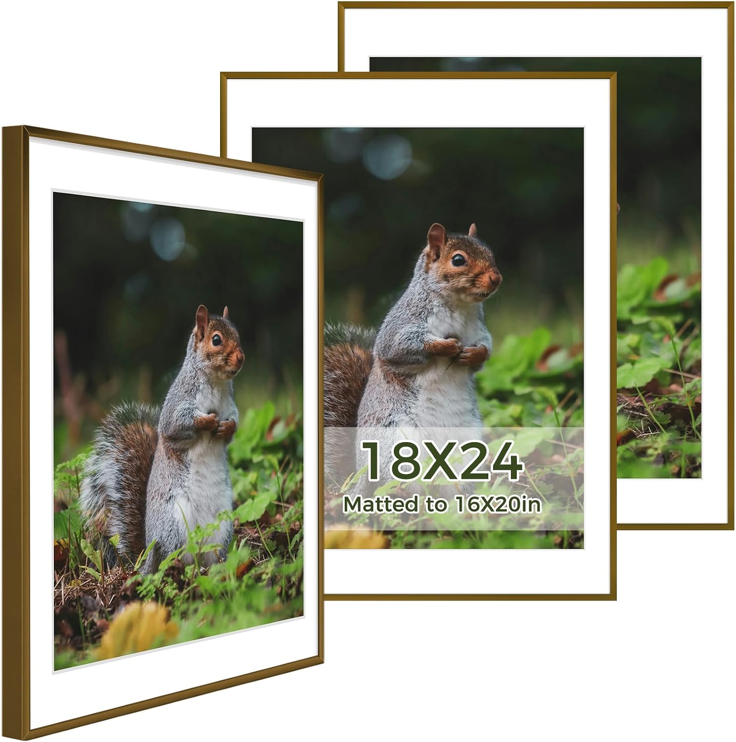 Golden State Art 3 Pack 12x12 Black Aluminum Frames, Real Glass Fronts