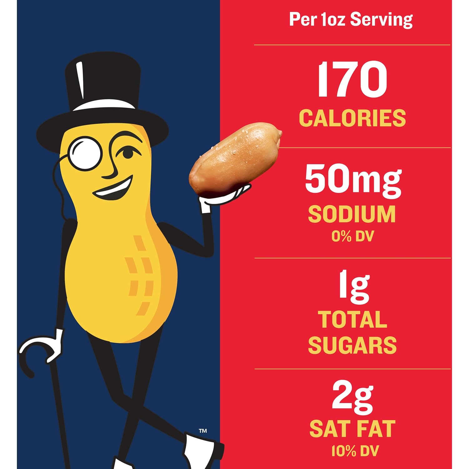 PLANTERS Salted Peanuts, Plant Based Protein Snacks, 12 Oz (1 Ct) | Roasted Salted Nuts. Resealable Canister. Snacks for Adults. Party Mix, Party Snacks