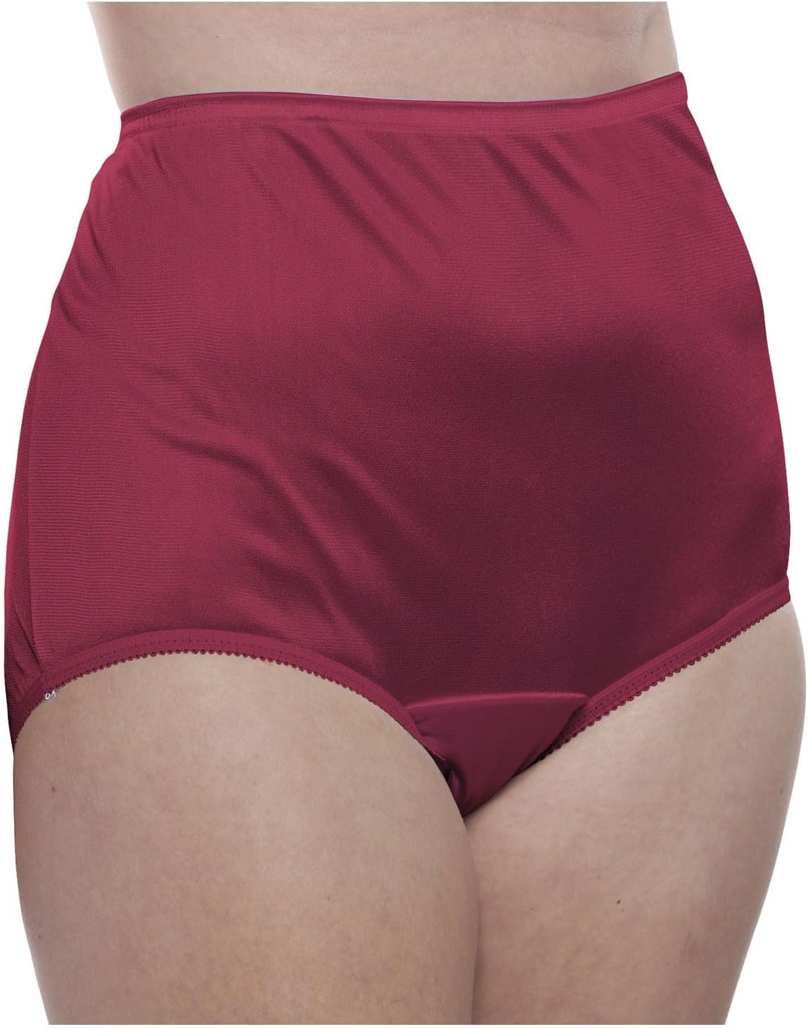Teri Women's 331 Plain Jane Classic Nylon Silky-Smooth Lightweight Breathable Full Coverage Brief Panty - 4 Pack