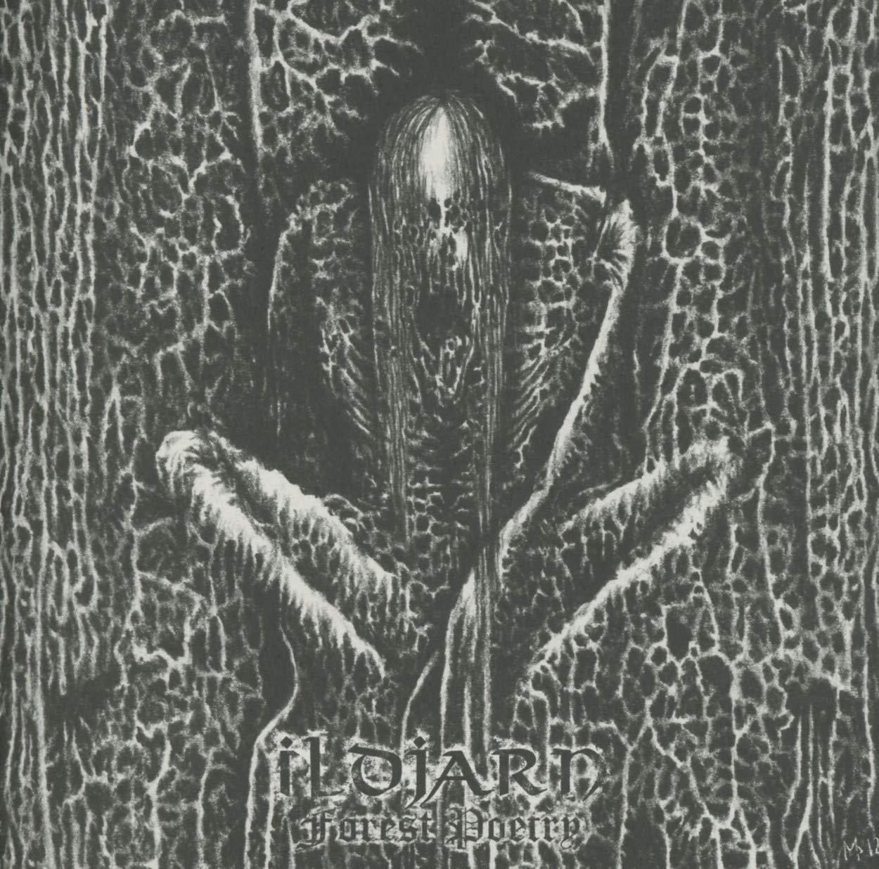 Forest Poetry