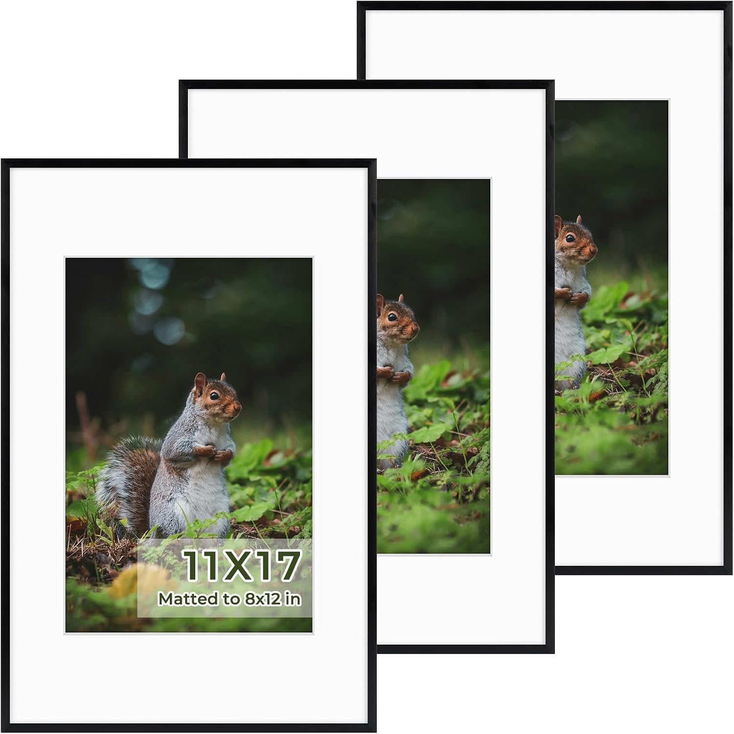 Golden State Art 3 Pack 12x12 Black Aluminum Frames, Real Glass Fronts