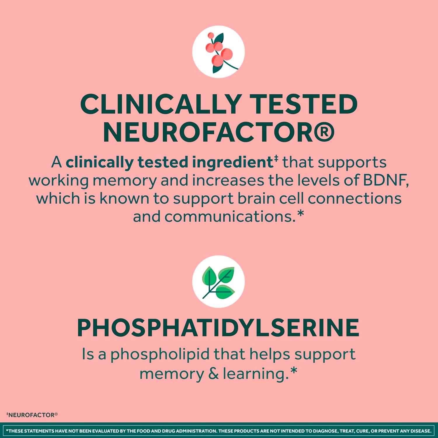 NEURIVA Plus Brain Supplements for Memory and Focus, Clinically Tested Nootropics Neurofactor and Phosphatidylserine with Vitamin B12, Vitamin B6