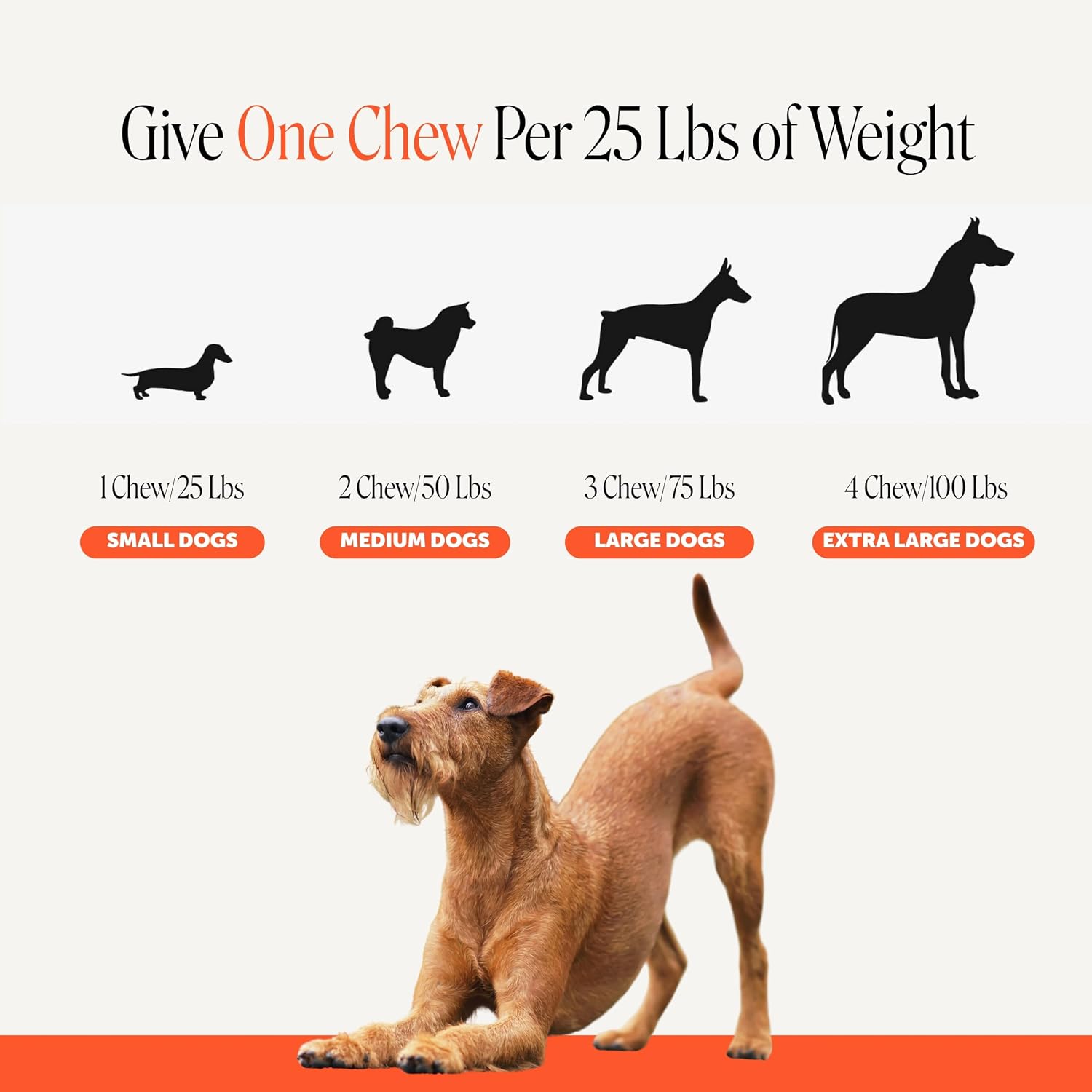Hip + Joint Supplement for Dogs with Glucosamine Chondroitin - MSM, Turmeric & Collagen Soft Chews - Joint Function, Stiffness, and Mobility Support, May Reduce Occasional Discomfort (Chicken, 90 Ct)