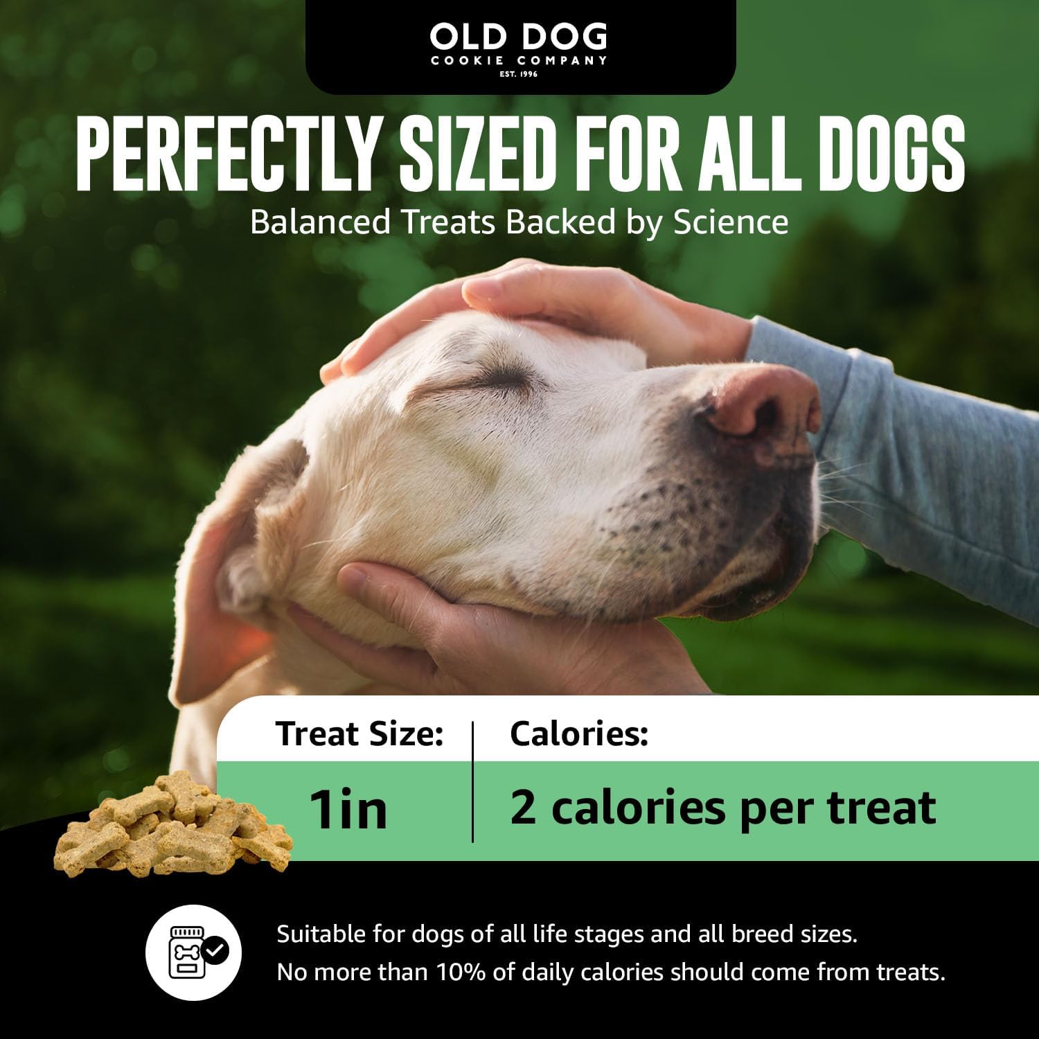 Old Dog Cookie Company Tiny Diabetic Dog Treats | All Natural, 2 Calorie, Vet Approved Pet Snacks | Top Treat for Dogs | Healthy Chews for Large