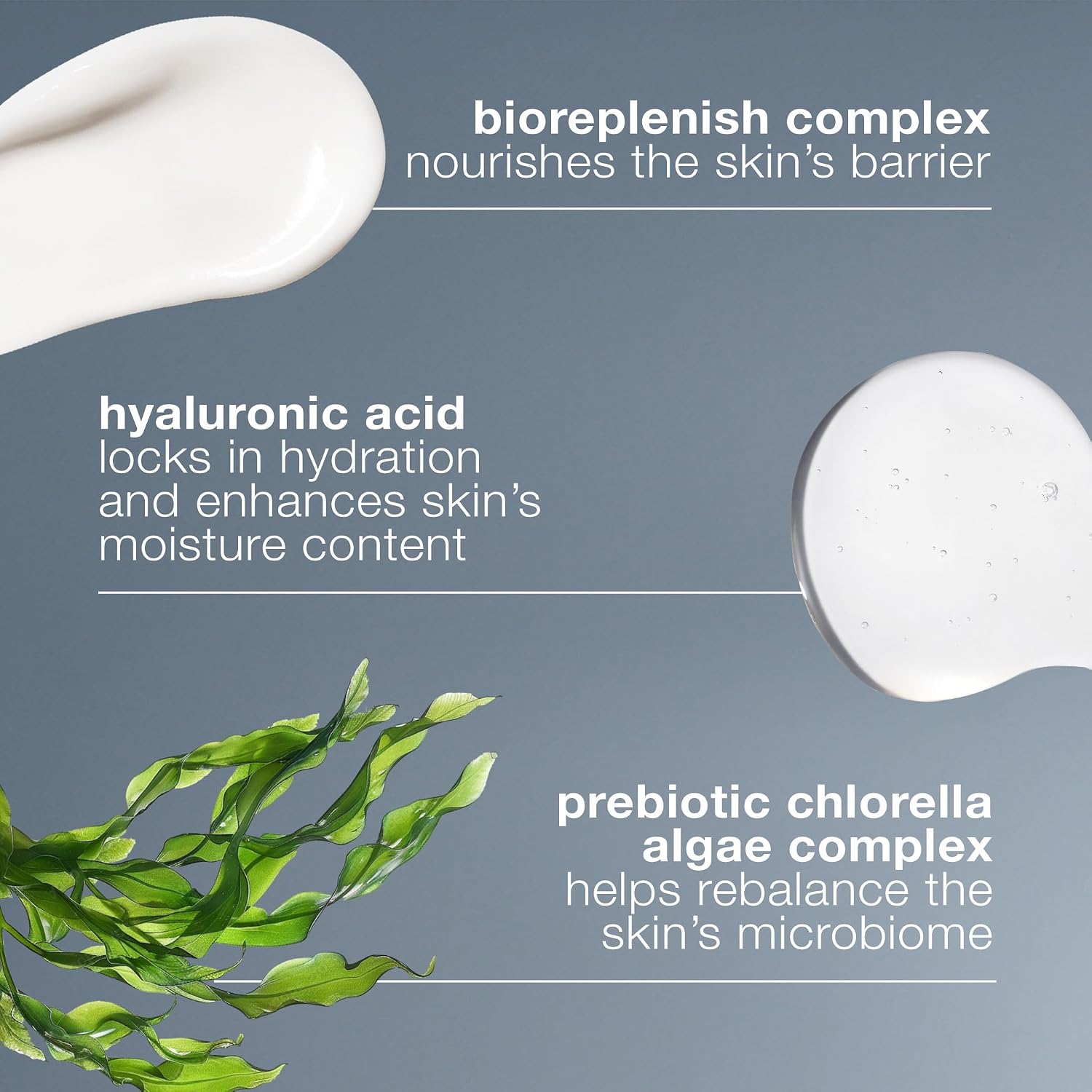 Dermalogica Intensive Moisture Balance, Face Moisturizer | Intensely Moisturizes Dry Skin and Strengthens the Lipid Barrier, with Ceramides, Prebiotic Algae, and Hyaluronic Acid