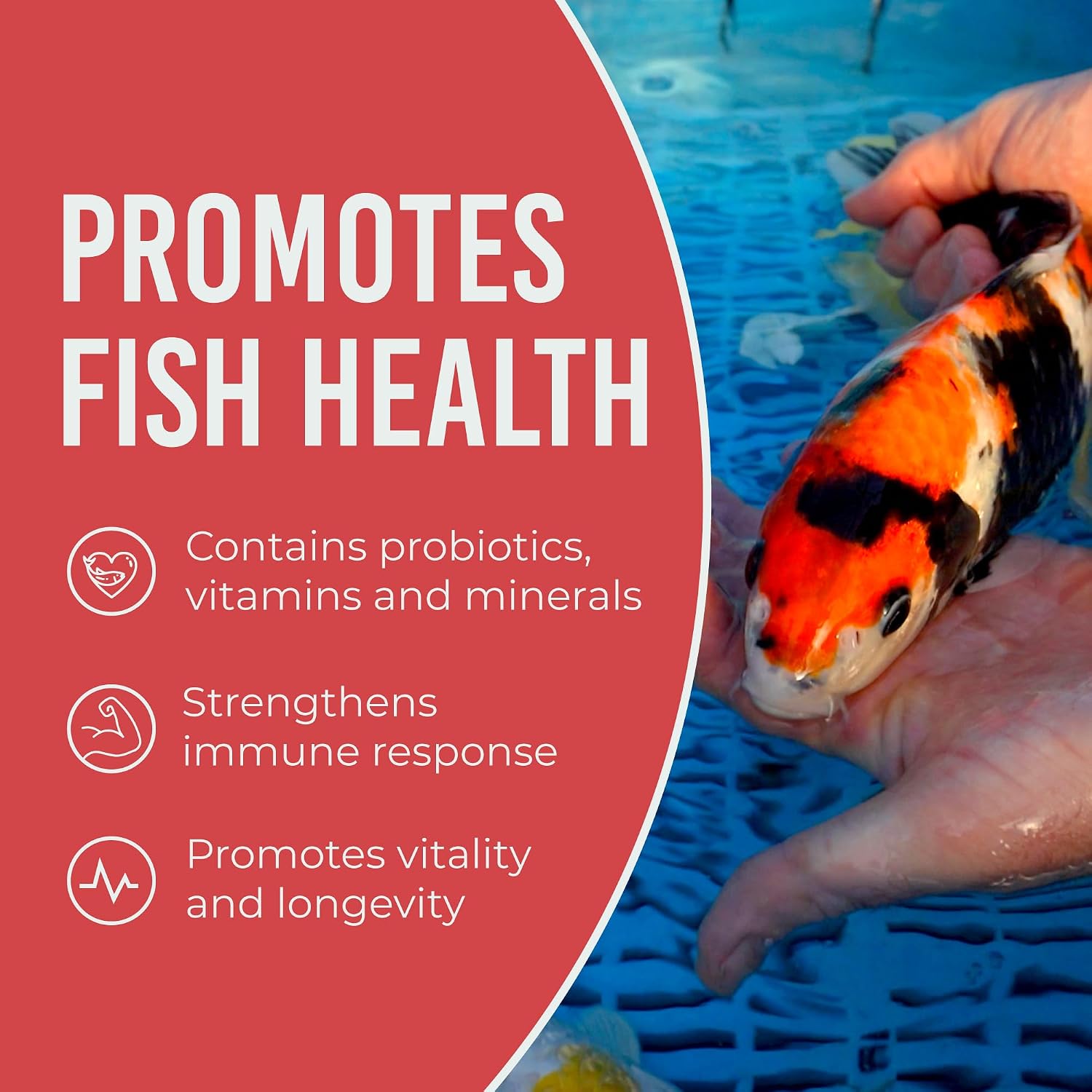 Blue Ridge Koi Fish Food 25lb - Cool Water Wheat 3/16", Fall and Winter Floating Pond Pellets, Ponds Fish Food