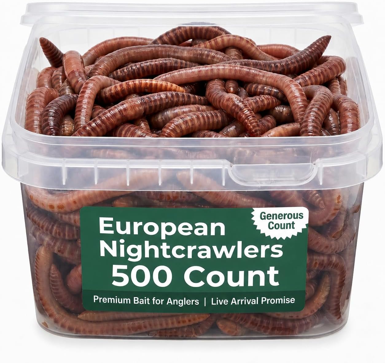 Live PANFISH European Nightcrawlers Composting Worms Fishing Worms