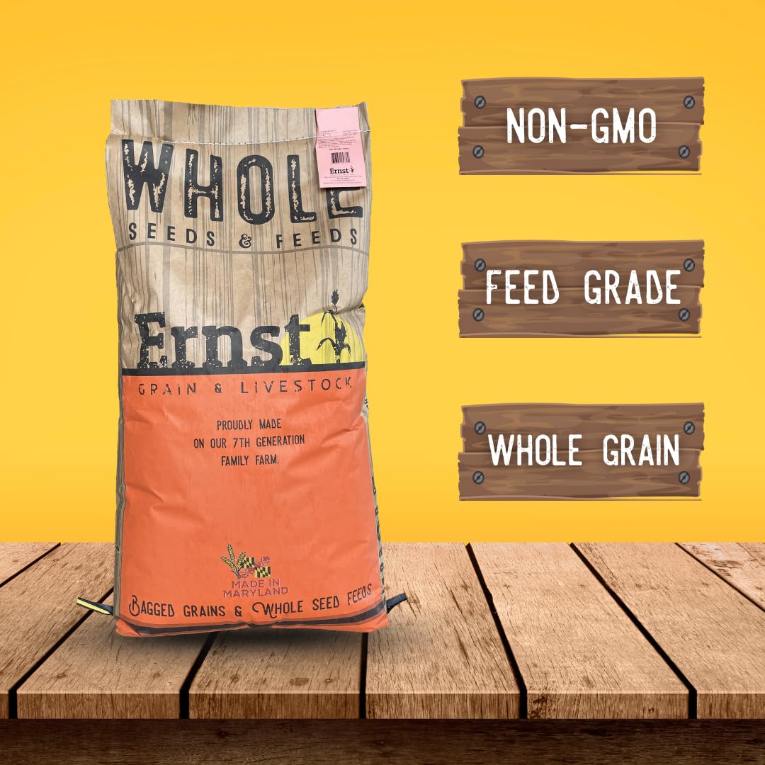 Ernst Grain & Livestock Soft Red Wheat Berries – Non‑GMO Feed Grade – 46 LB Bulk Bag – Ideal for Livestock & Poultry Feed – Grown (Family
