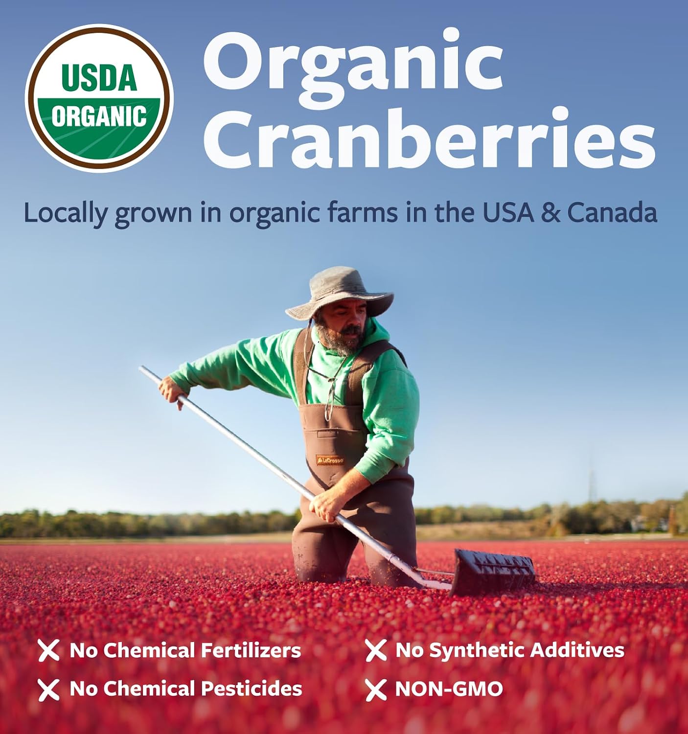Organic Cranberry Pills - Vegan Supplement for Urinary Tract Health & Kidney Cleanse - Cranberry Pills for Women 500mg 50:1 Cranberry Concentrate Per Serving - Urinary Tract Support - 60 Capsules