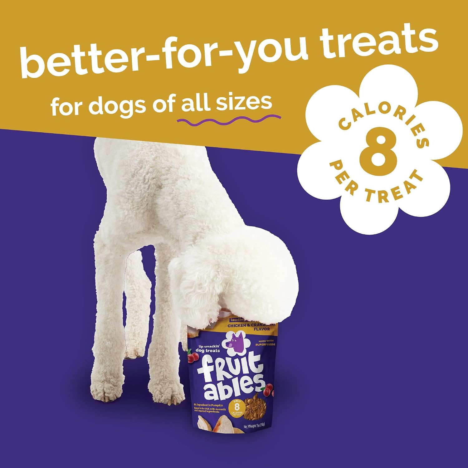Fruitables Baked Dog Treats, Low Calorie Treats, Pumpkin & Banana, 7oz | Healthy Dog Treats, Training Treats, Crunchy Dog Biscuits, Limited Ingredient Recipe, Healthy Puppy Snacks, Made in USA