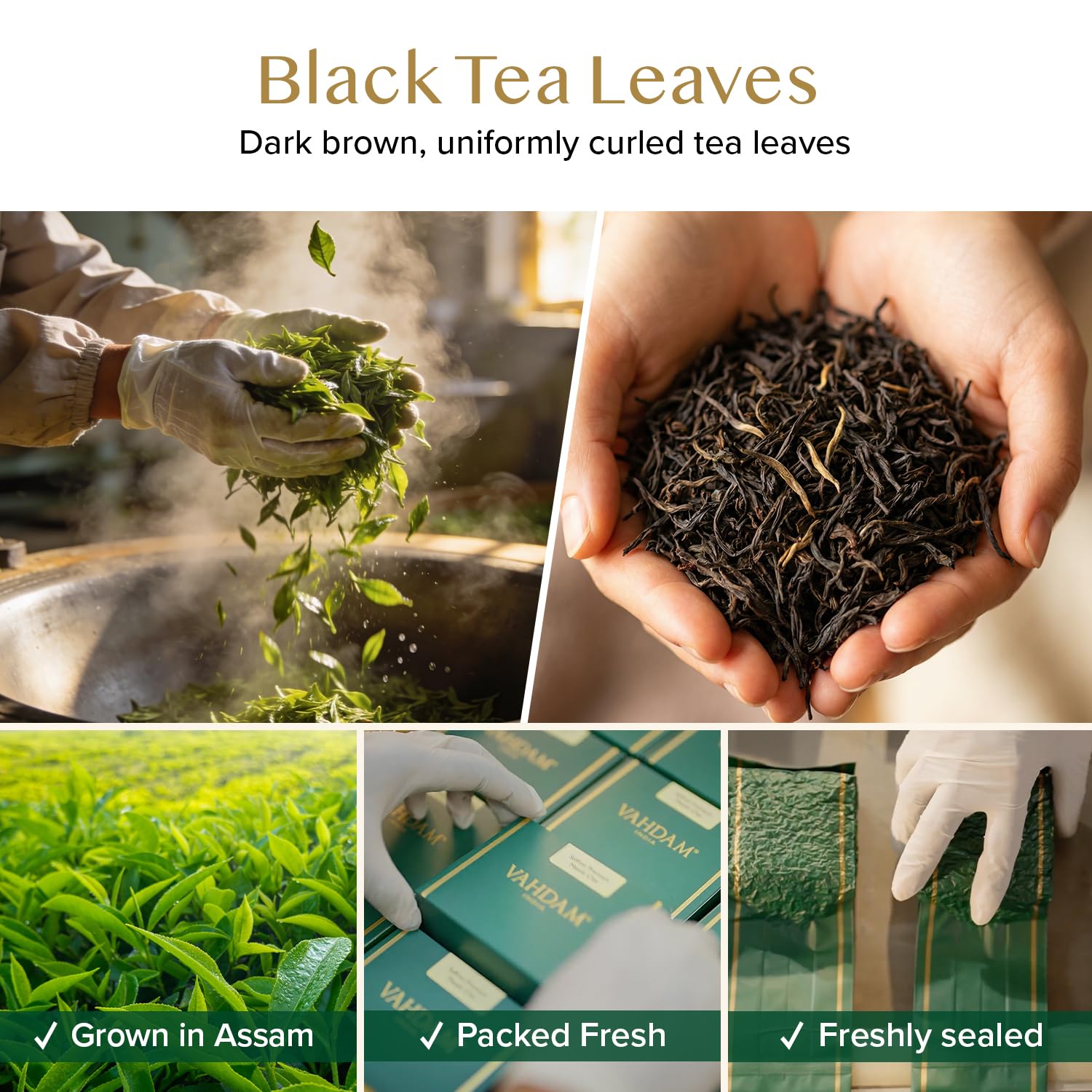 VAHDAM, Himalayan Green Tea Leaves (50+ Cups, 3.53 Oz) Non GMO, Gluten Free | High Elevation Grown Green Tea Leaves From Himalayas | Pure Unblended Single Origin Green Loose Leaf Tea | Vacuum Sealed