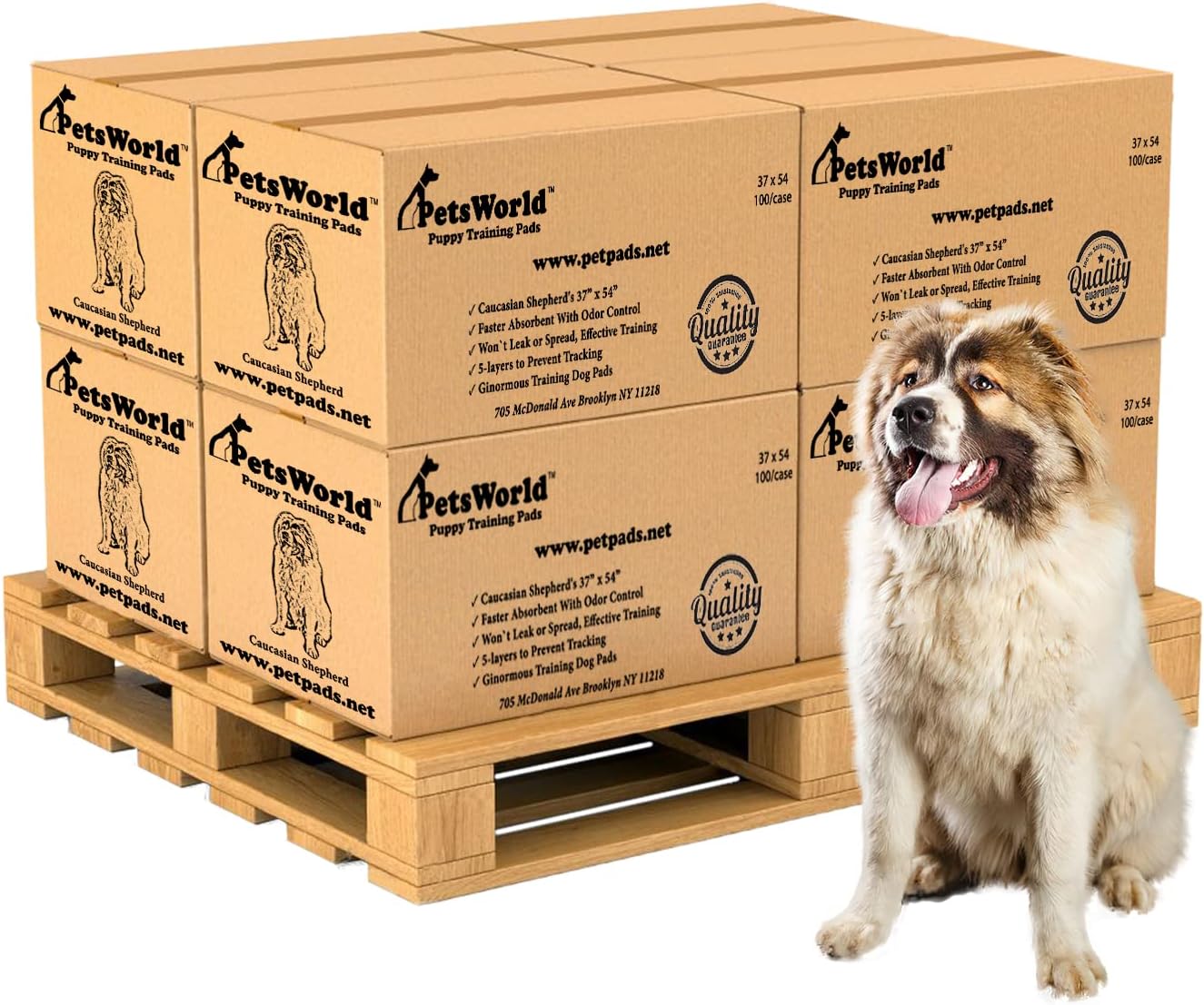 PetsWorld Enormous Dog Pee Pads 37"x54" 50 Count – XXXL Pet Pee Pads for Giant Dogs & Pets, Heavy Duty Leak-Proof Dog Training Pads, Super Absorbent Quick-Dry Potty Pads with Adhesive Tabs
