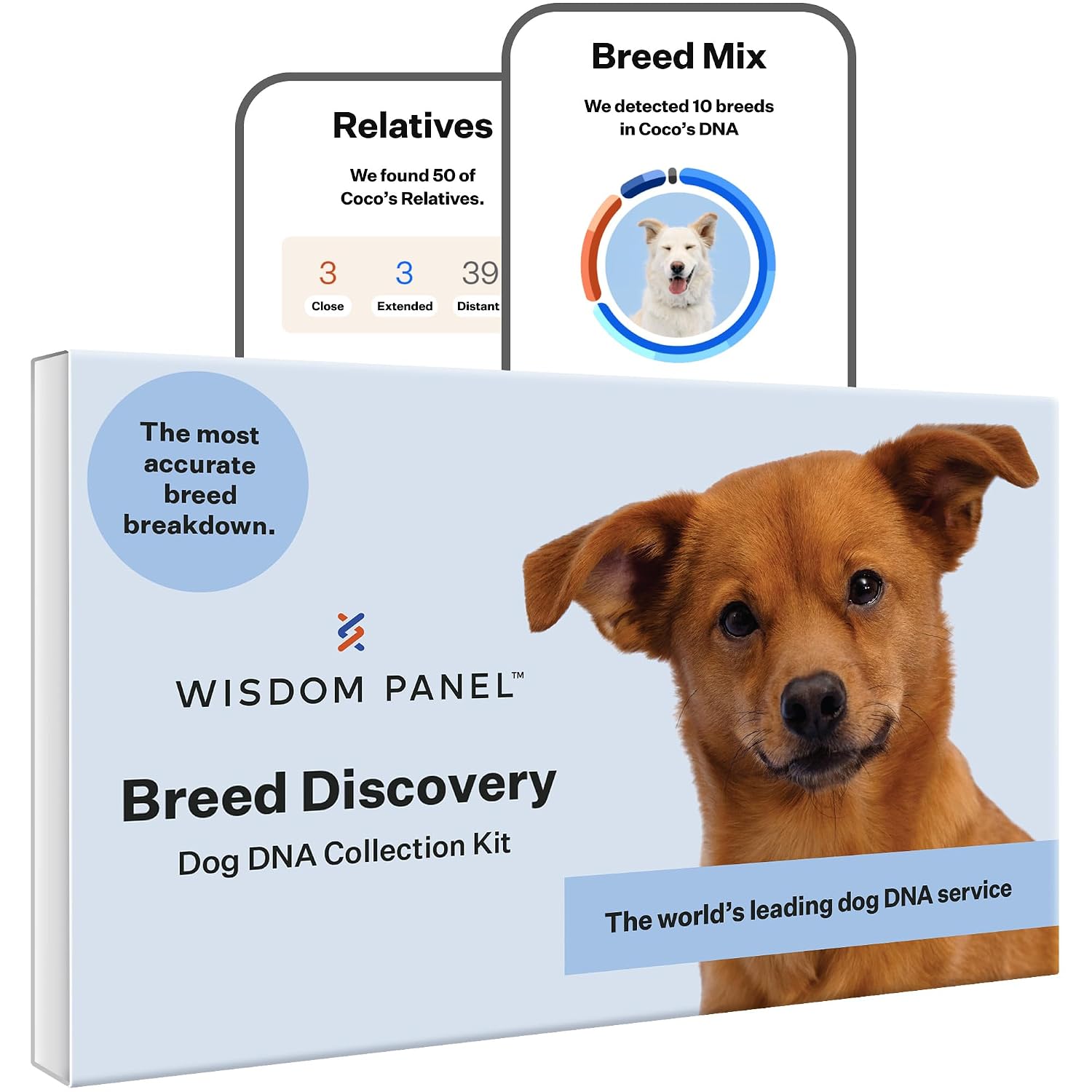 Wisdom Panel Breed Discovery Dog DNA Testing Kit - Most Accurate Dog Breed Identification - Test for 430+ Breeds, MDR1 Health Test, Ancestry