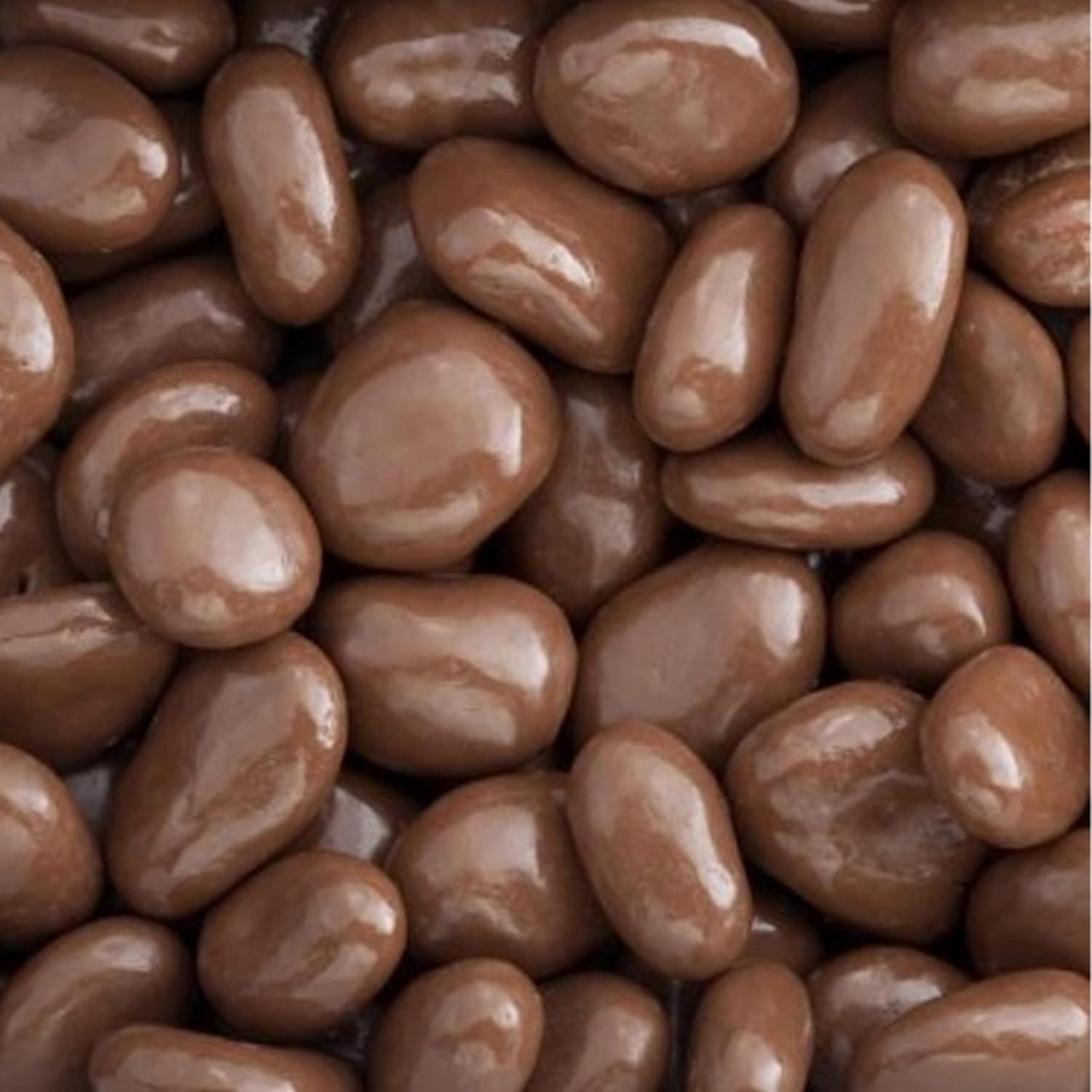 Arndts Fudgery Premium Chocolate Covered Candy (Milk Chocolate Raisins (2-13 oz. Bags))