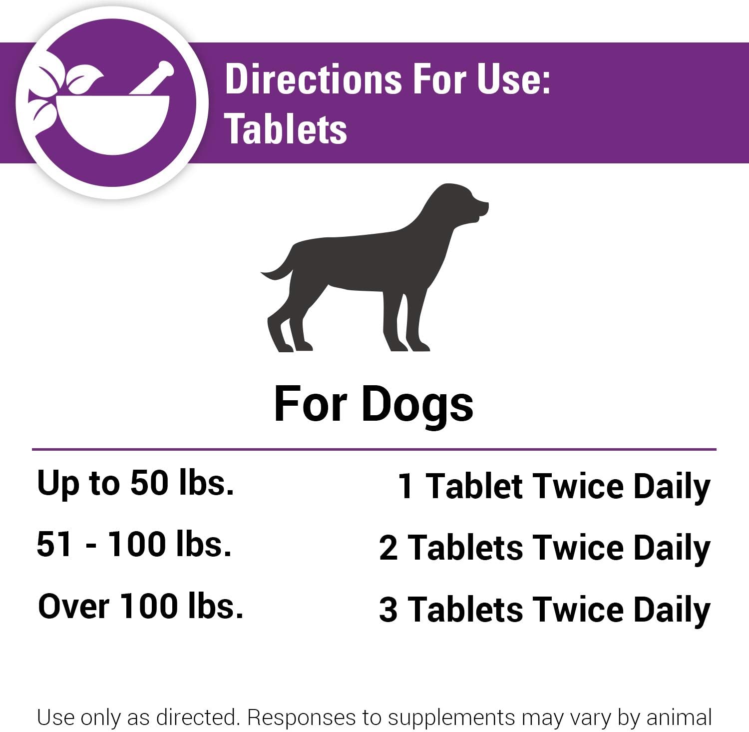 Coenzyme Q-10 Antioxidant Dog Supplement – Pet Health Supplement for Dogs – Supports Overall Dog Wellness, Aging – Includes Green Tea, Vitamin C