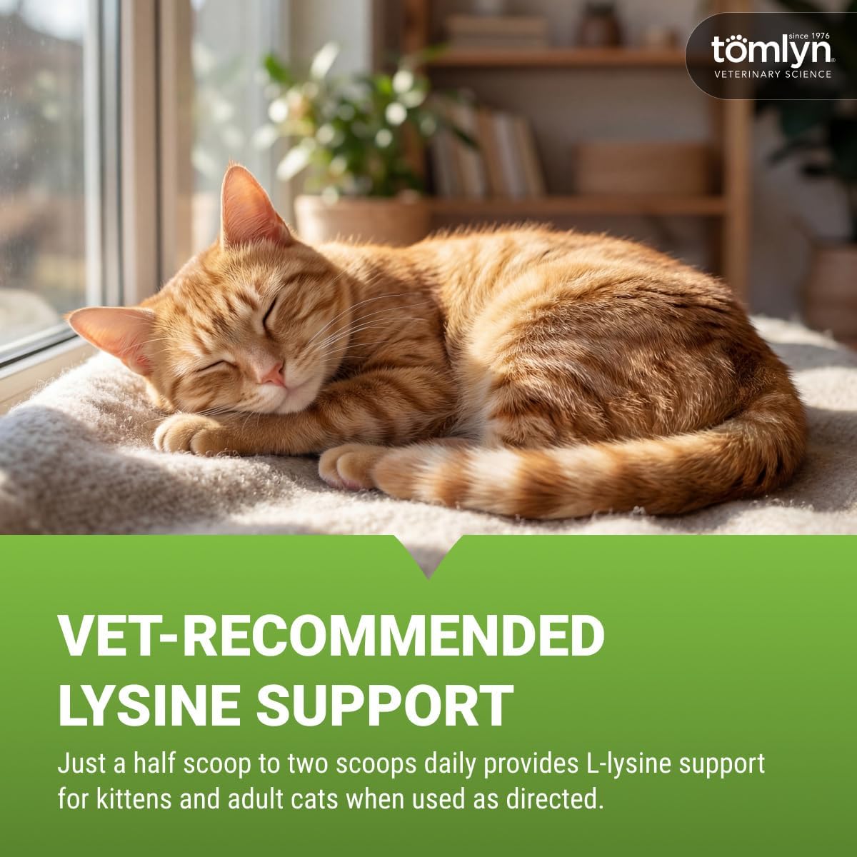 Tomlyn Immune Support Daily L-Lysine Supplement, Fish-Flavored Lysine Powder for Cats and Kittens, 3.5oz