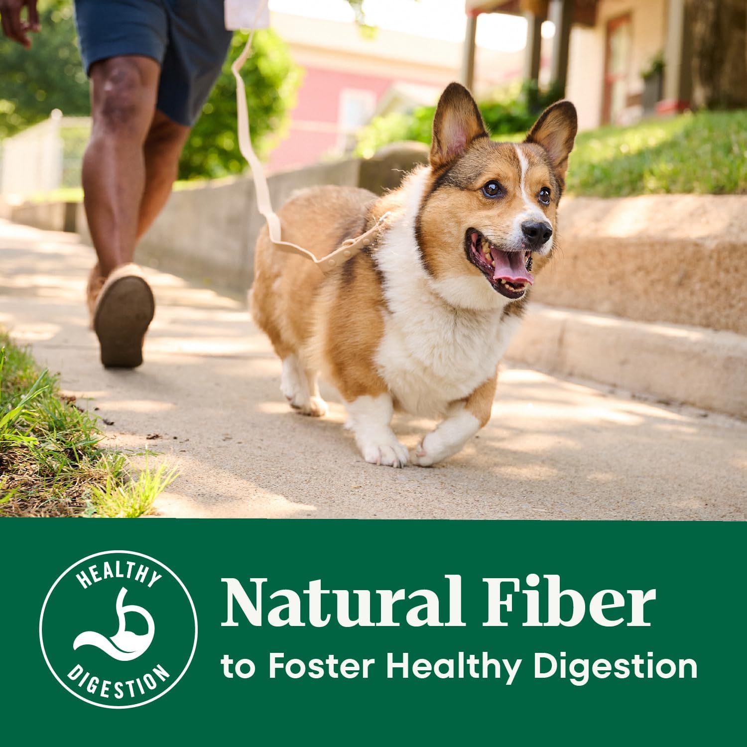 Nutro Natural Choice Senior Dry Dog Food, Chicken & Brown Rice, 30 lb | Non-GMO, Real chicken #1 ingredient, no corn, wheat, soy, supports bones, digestion & immunity, dental health & skin/coat