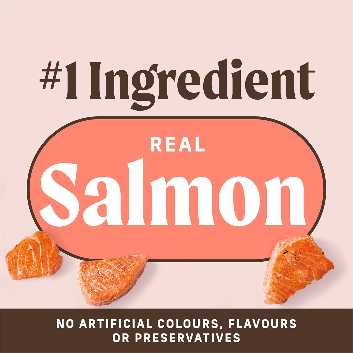 Merrick Power Bites Salmon Grain Free Dog Treats 6 oz Bag | Wholesome and flavorful dog treats made with salmon as the #1 ingredient, perfect for anytime snacking or training rewards