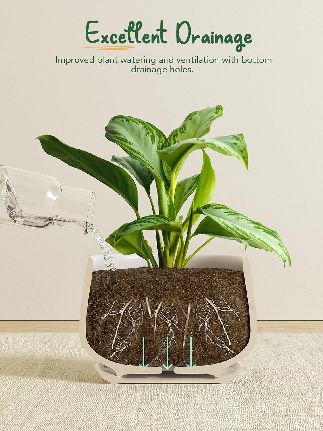 LE TAUCI Plant Pots, 4.1+5.1+6.5 inch, Set of 3, Ceramic Planters with Drainage Hole and Saucer, Indoor Flower Pot with Hole Mesh Pad, Gifts for Mom