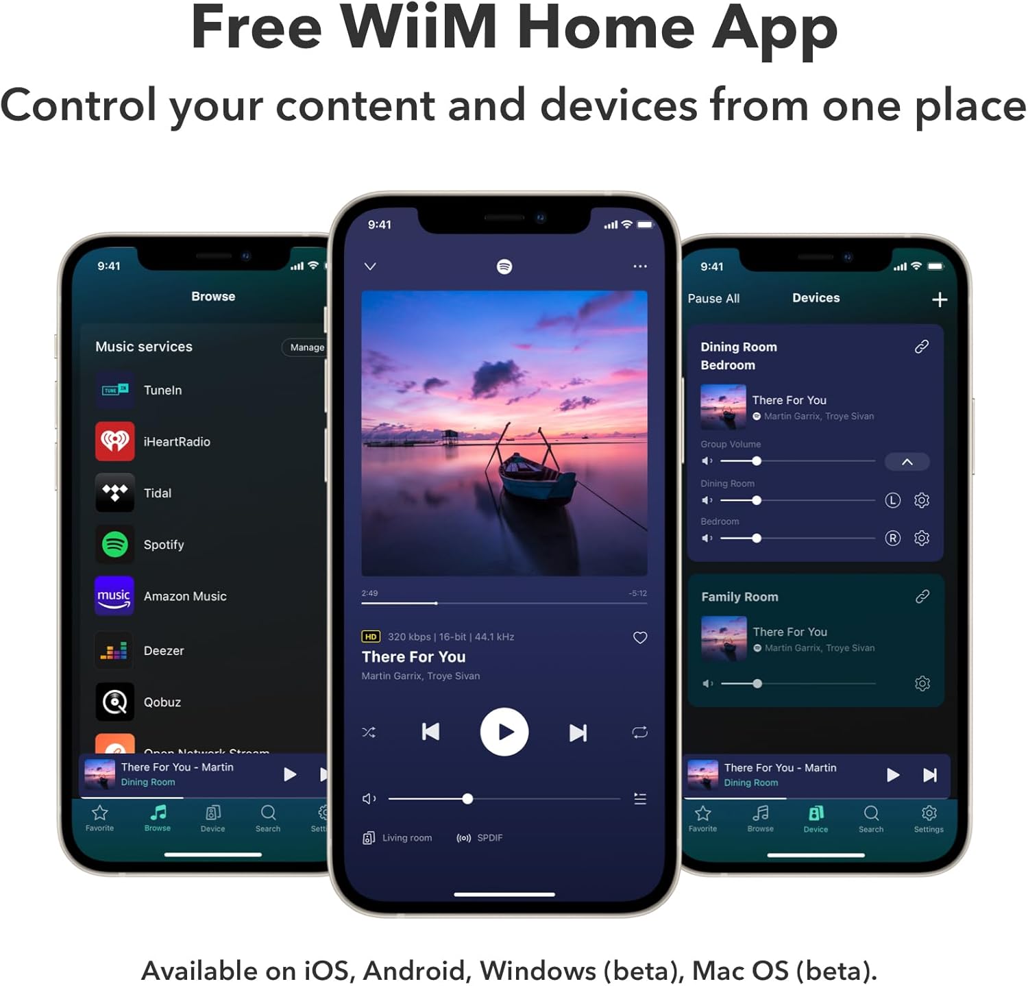 WiiM Pro Plus Music Streamer for Stereo Systems, Modernize Your Hi-Fi | Upgrade Your Stereo with Hi-Res Streaming, AirPlay 2, Spotify Connect