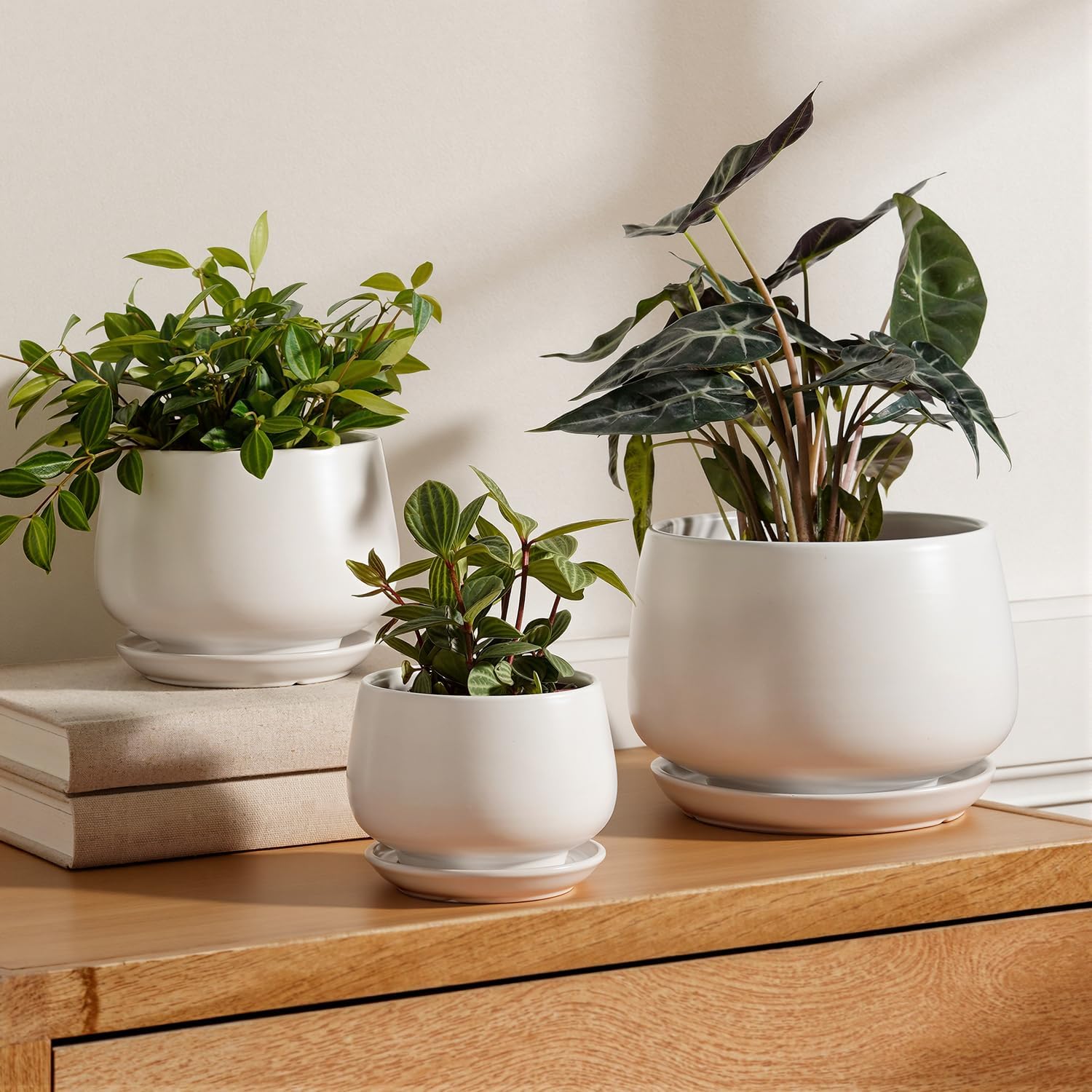 LE TAUCI Plant Pots, 4.1+5.1+6.5 inch, Set of 3, Ceramic Planters with Drainage Hole and Saucer, Indoor Flower Pot with Hole Mesh Pad, Gifts for Mom