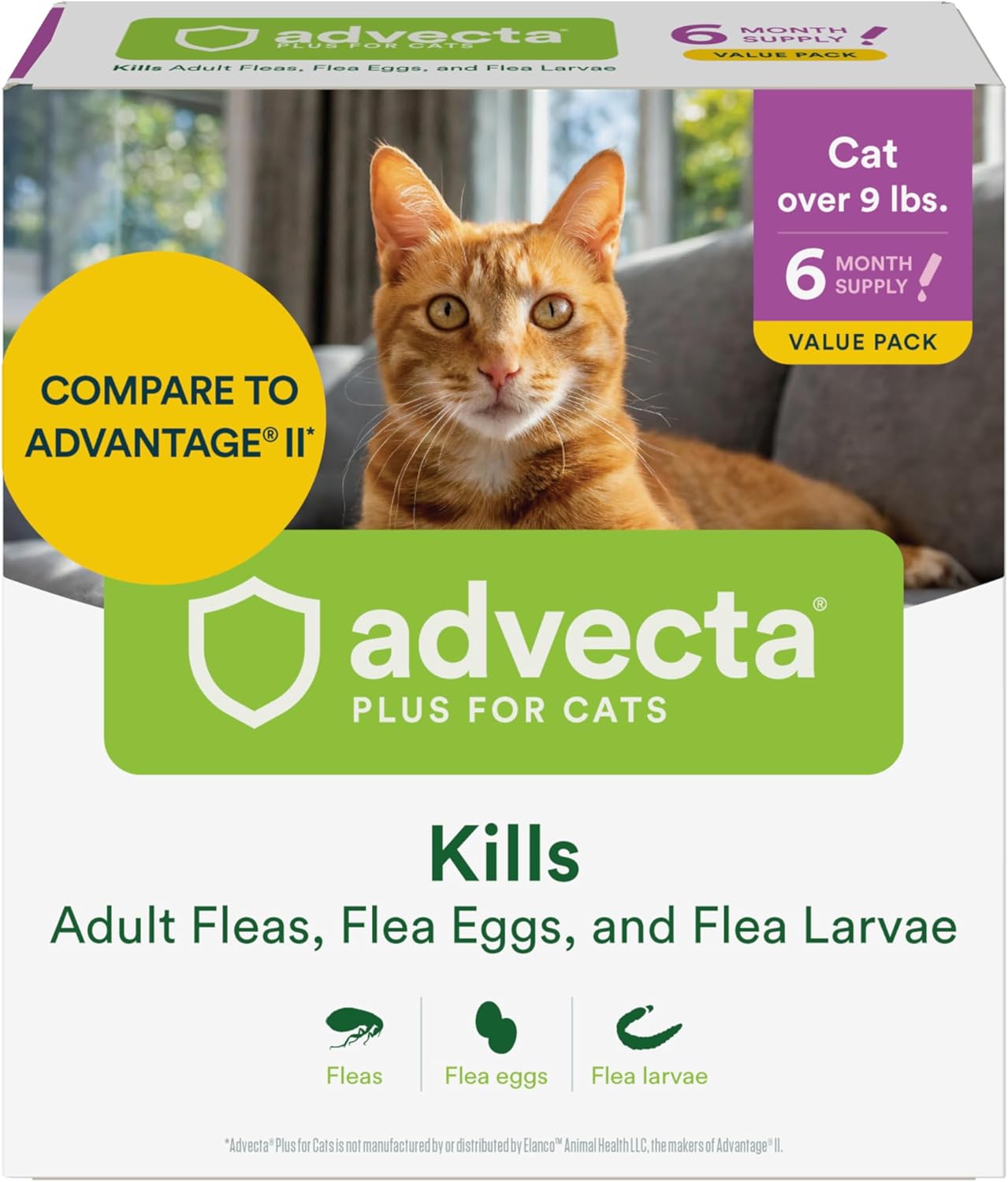 Advecta Plus Cat Flea Treatment 5-9 lbs, Imidacloprid, 4-Month | Ideal for Small Cats 5-9 lbs; Kills Adult Fleas in 12 hrs; 4-month supply; Breaks Flea Life Cycle