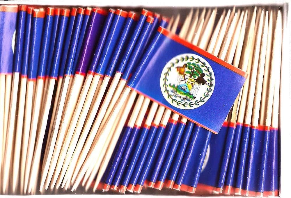 One Box of 100 Nicaragua Toothpick Flags, 100 Small Mini International Flag Cupcake Toothpicks or Cocktail Picks