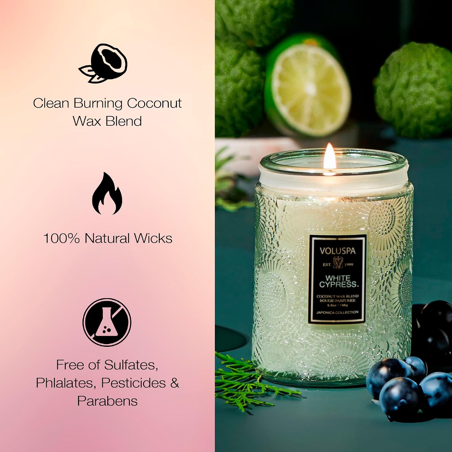 Voluspa Baltic Amber, Small Candle Jar, 5.5 oz, 50 Hour Burn Time, Coconut Wax for Clean Burning, Handcrafted in the USA