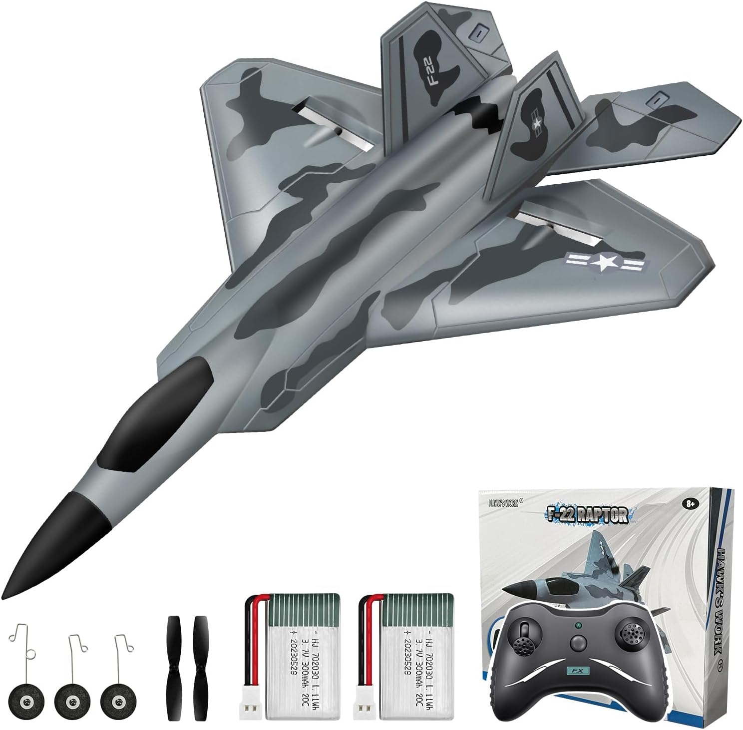 2CH F-22 RC Glider, Easy Fly RC Plane for Kids & Beginners