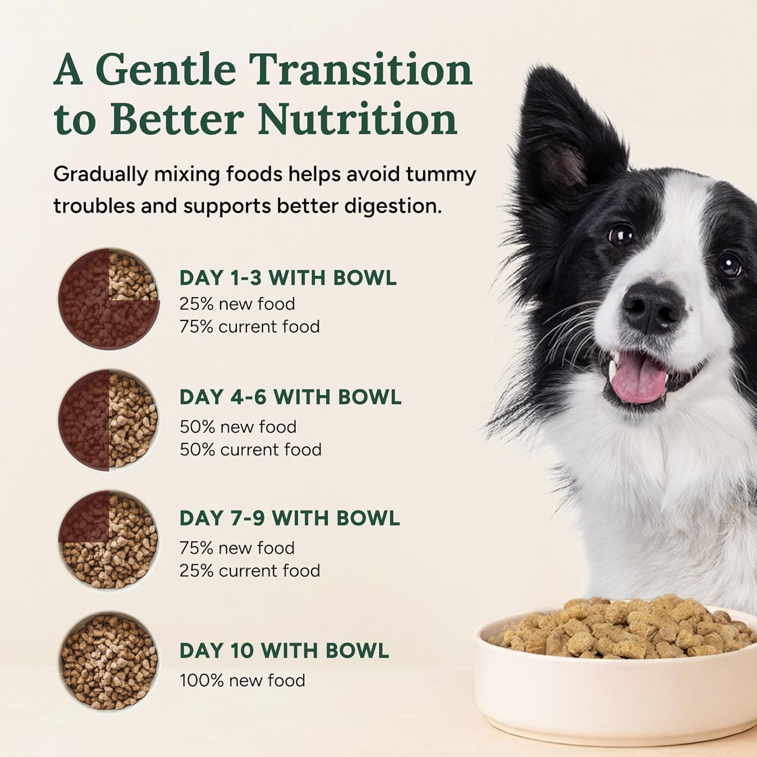 360 Pet Nutrition Freeze-Dried Raw Dog Food – Multi-Protein with Beef, Chicken, Fish, Liver & Organs