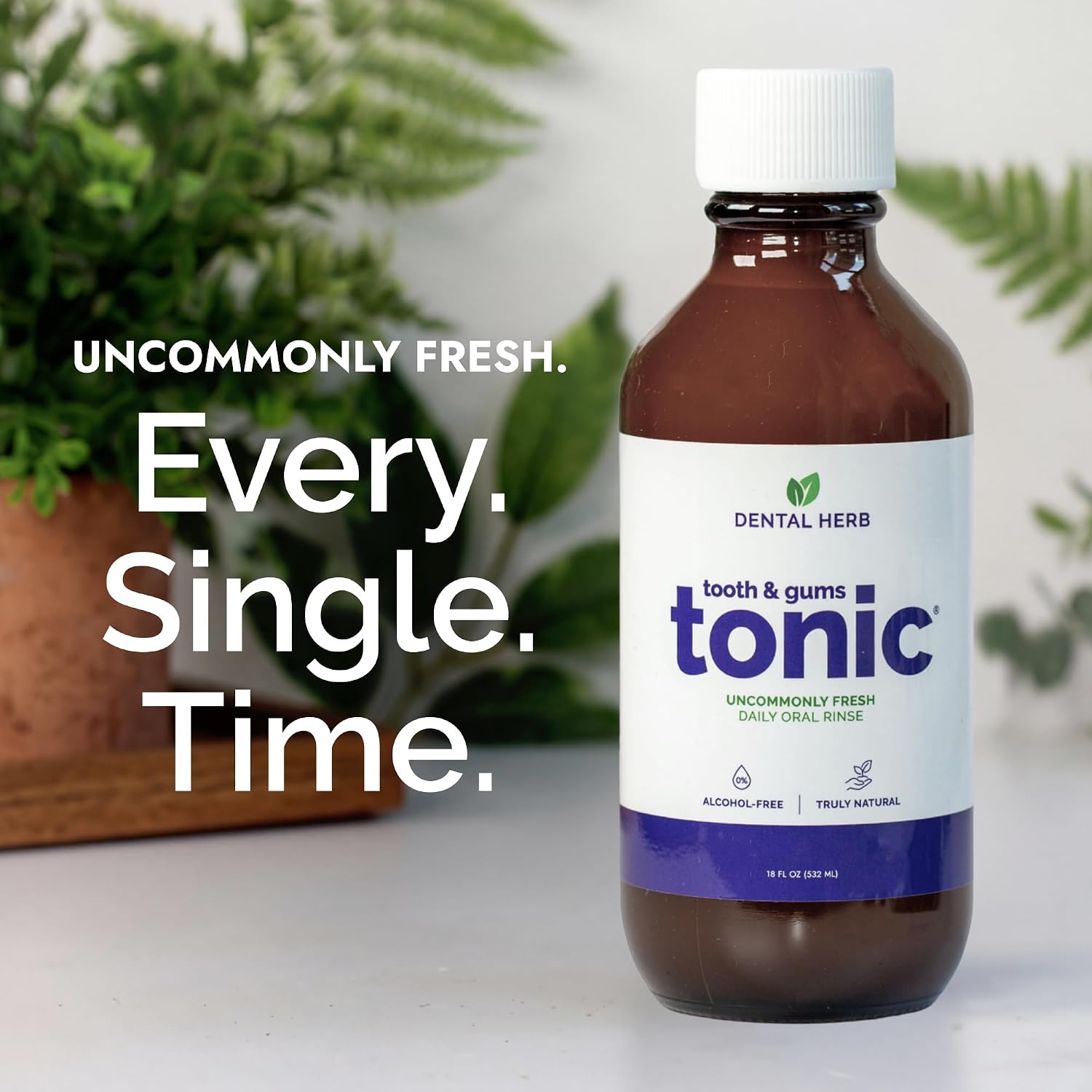 Dental Herb Company Tooth & Gums Tonic Mouthwash Herbal Oral Rinse 18oz (2) | Essential Oils, Alcohol-Free, Fluoride-Free, Plant-Based
