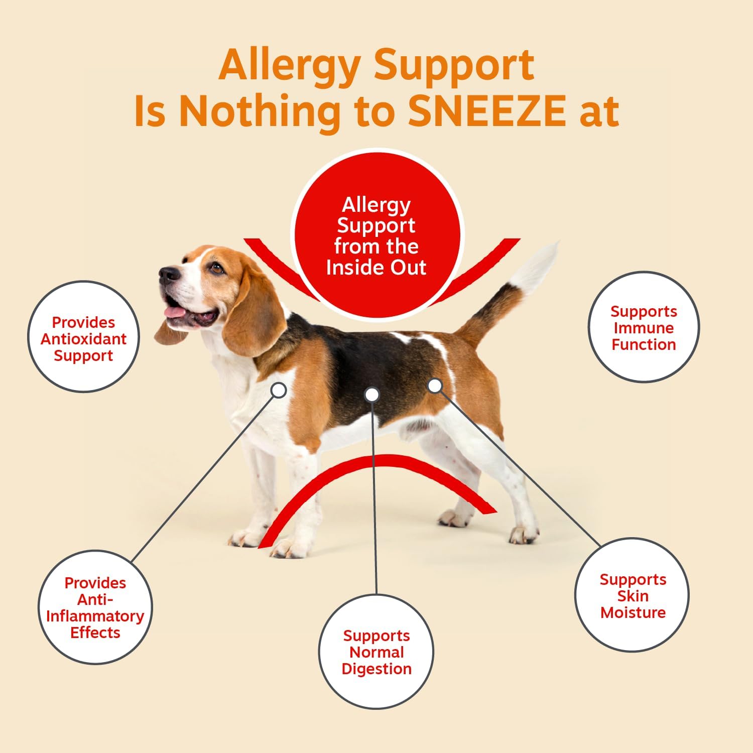 Zesty Paws Allergy Immune Bites - Dog Allergy Chews, Dog Probiotics for Itchy Skin and Ears, Lamb, 90ct