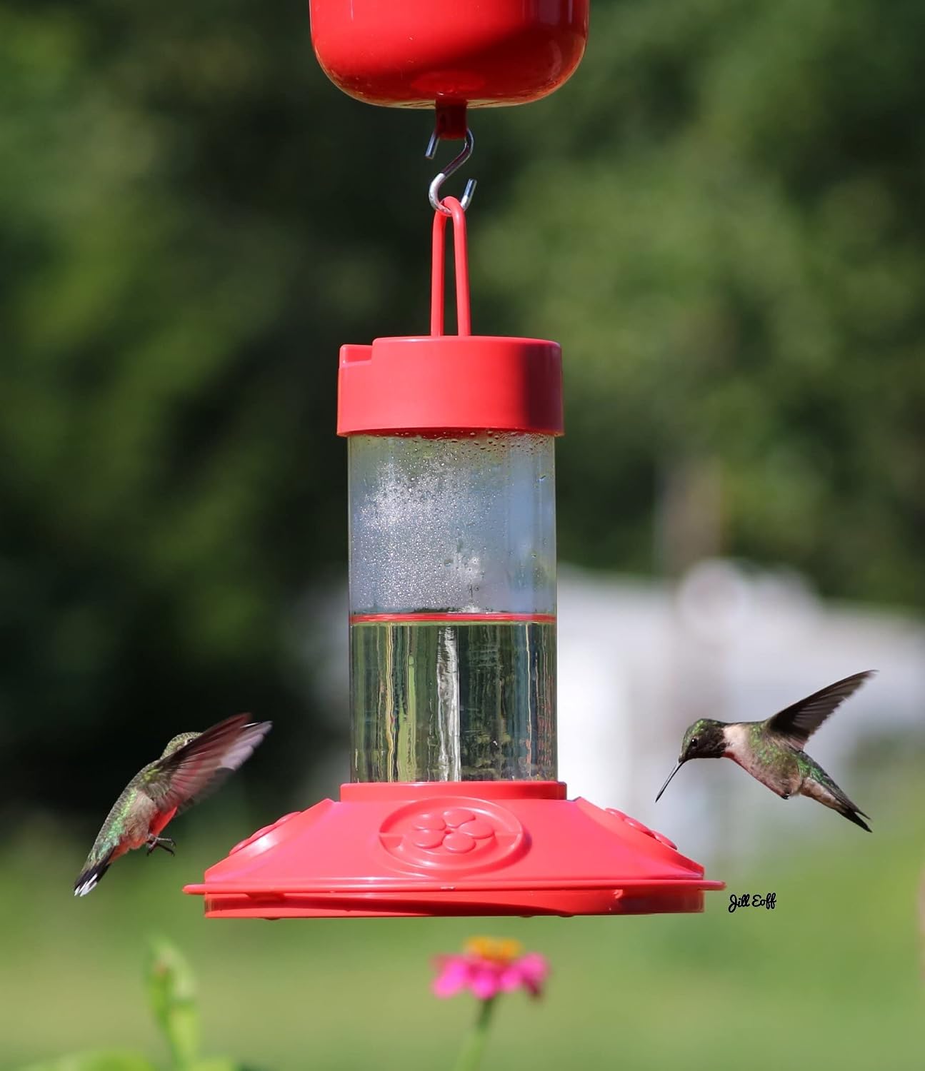 SE6002 Dr Jb's Clean Feeder, Red, 16-Ounce