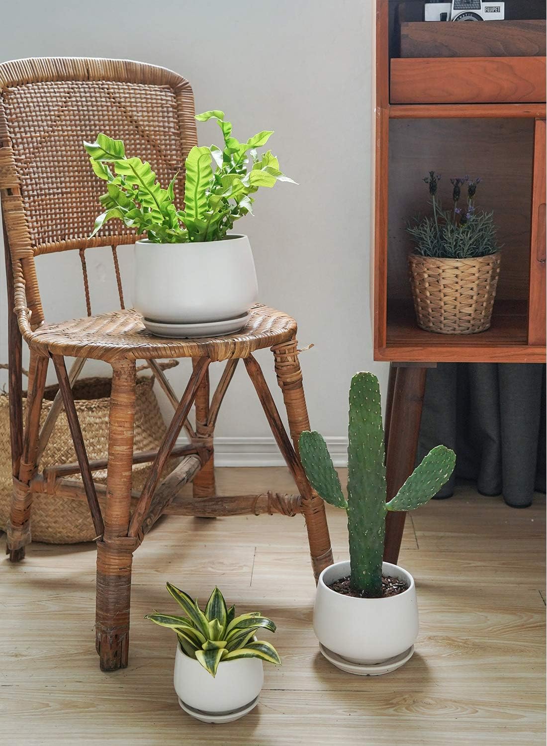LE TAUCI Plant Pots, 4.1+5.1+6.5 inch, Set of 3, Ceramic Planters with Drainage Hole and Saucer, Indoor Flower Pot with Hole Mesh Pad, Gifts for Mom