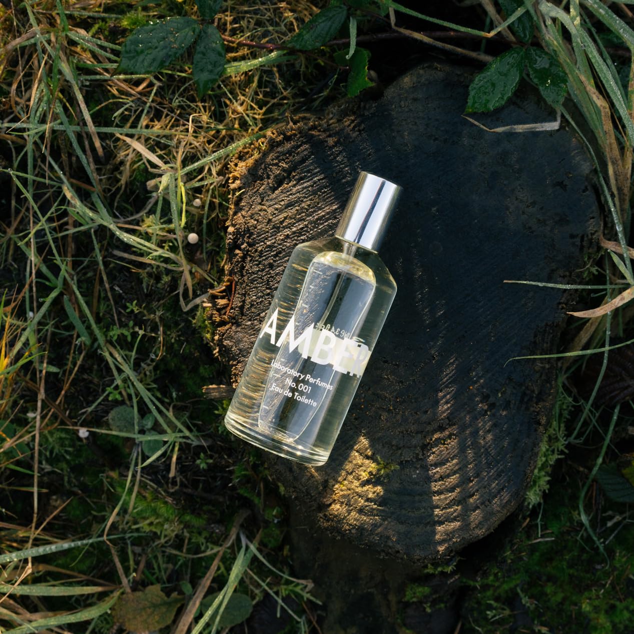 Amber Eau de Toilette | A Timeless, Evolving Fragrance | Fresh Greenery, Earthy Vetiver & Warm Amber | Effortlessly Elegant & Long-Lasting (100ml)