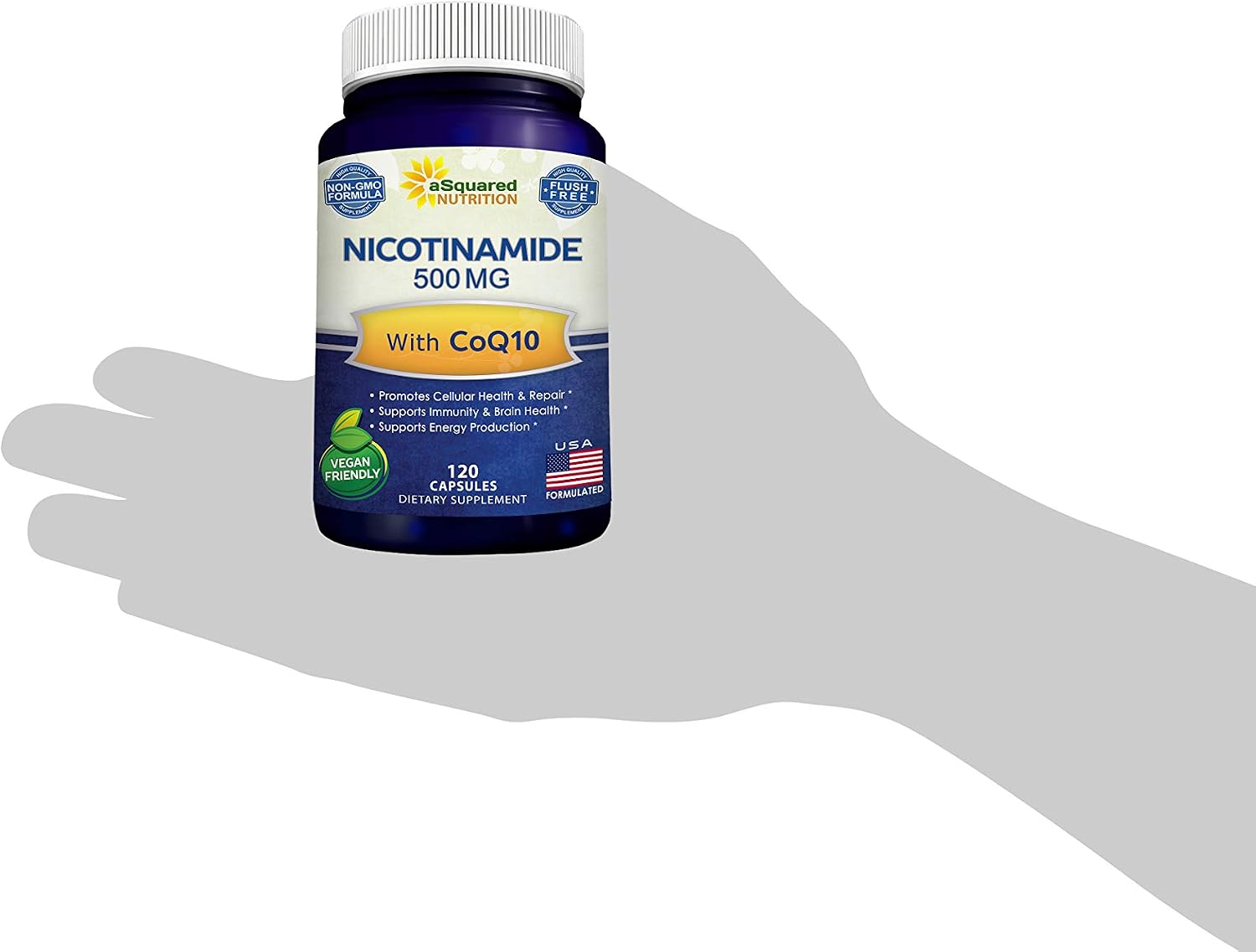 Nicotinamide with CoQ10 (120 Capsules) - Vitamin B3 500mg (Niacinamide Flush Free) - Coenzyme Q10 Powder - VIT B-3 & Coq 10 Supplement Pills to