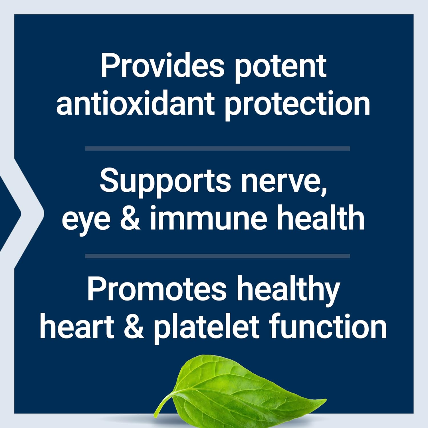 Life Extension Gamma E Mixed Tocopherols & Tocotrienols – Complete Vitamin E Spectrum, Antioxidant Protection – Non-GMO, Gluten-Free – 60 Softgels | Complete Vitamin E Spectrum with Mixed Tocopherols & Tocotrienols for Antioxidant Protection, Non-GMO & G…
