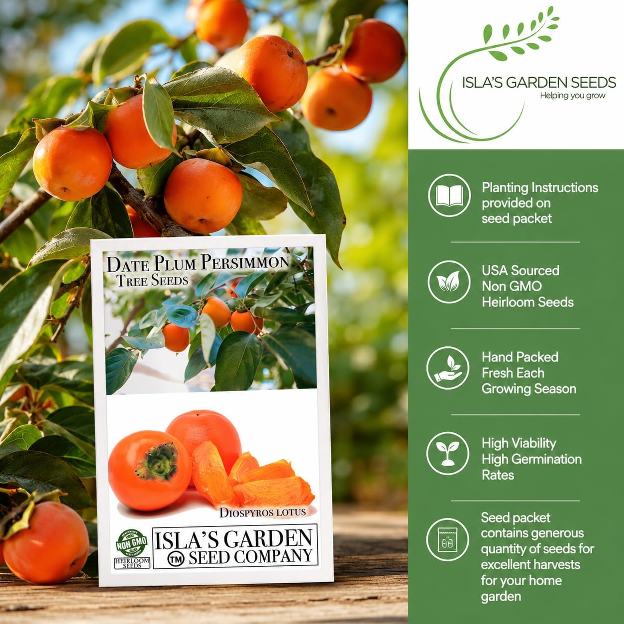 Date Plum Persimmon Tree Seeds (Diospyros Lotus) – 30+ Non-GMO & Heirloom Seeds, Exotic & Rare Fruit Tree, 80% Germination Rate