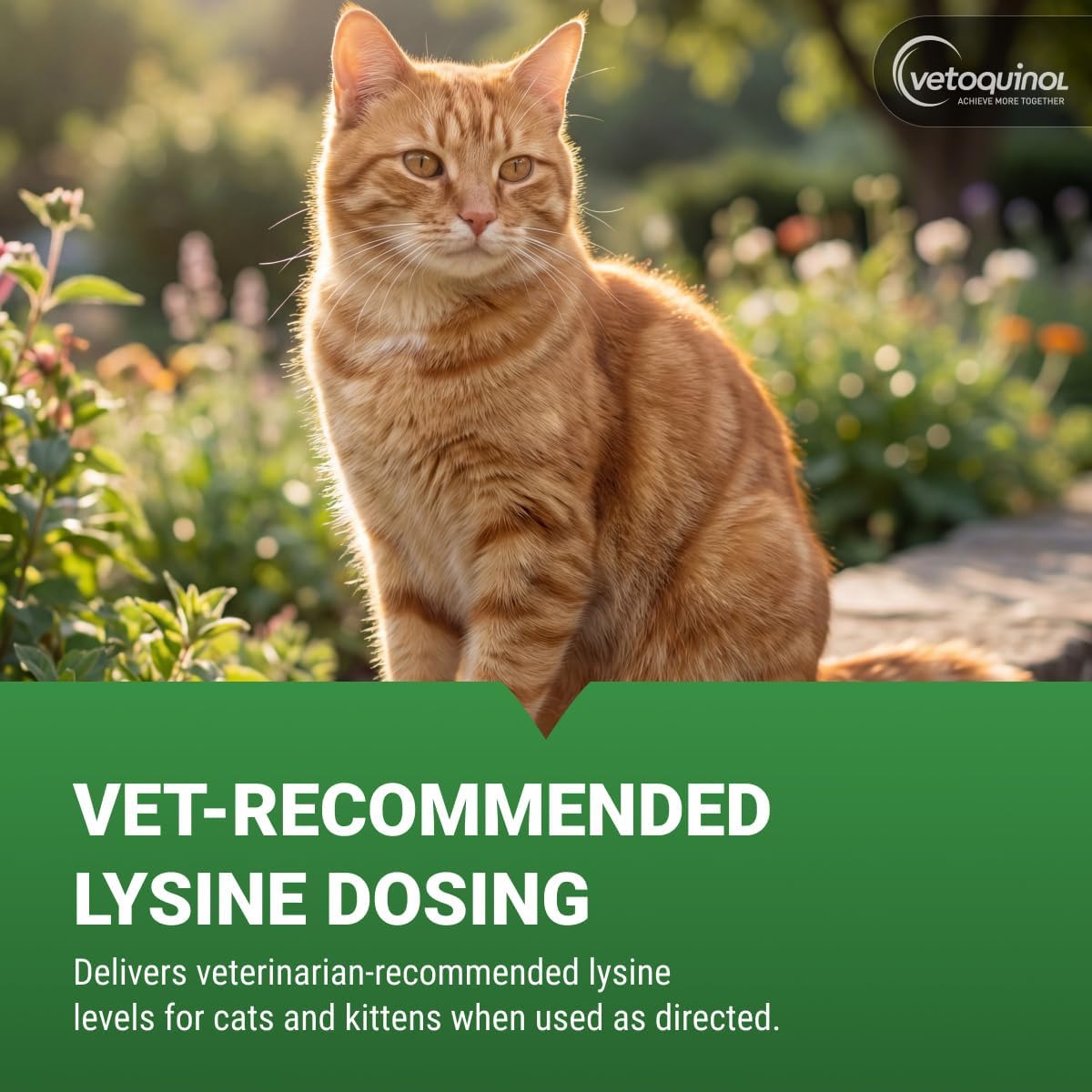 Vetoquinol Enisyl-F - Lysine Supplement for Cats - Daily Immune Support - Everyday Feline Health Support - Tasty Oral Paste - Tuna Flavor, 3.5oz Pump