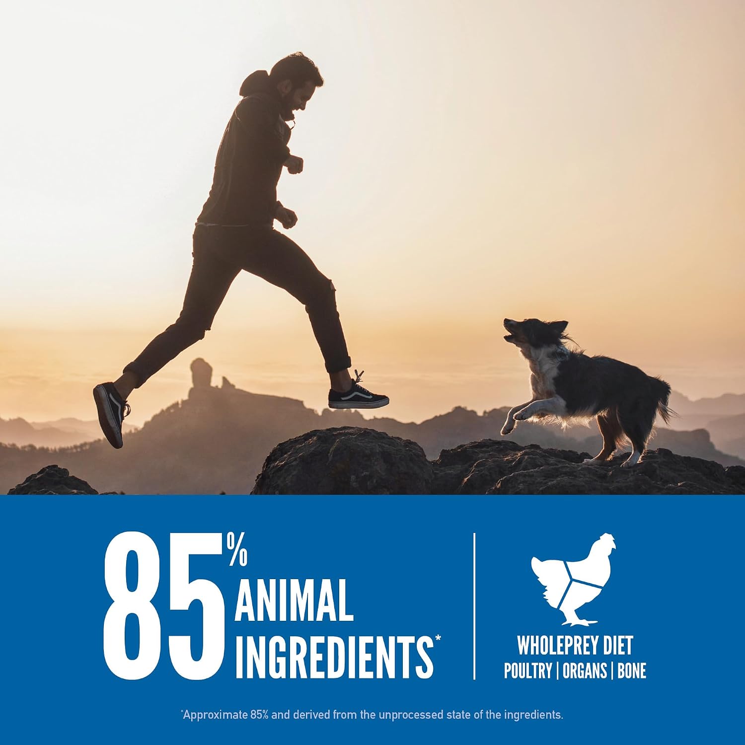 ORIJEN Grain Free WHOLEPREY Dry Dog Food Original Recipe 13lb. Bag | WHOLEPREY Ingredients, Grain Free, Made in the USA, Skin & Coat, Global Quality Ingredients
