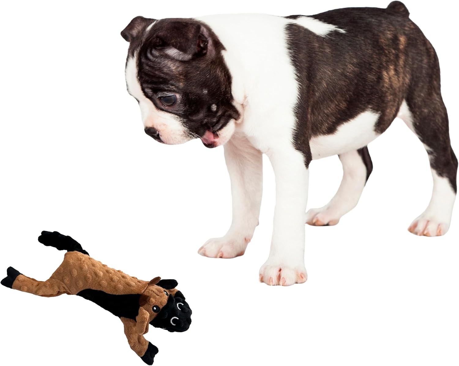 SPOT Skinneeez Extreme Stuffers Frog - Stuffing Free Dog Toy With Squeaker & Rip Stop Mesh Lining for Durability - Insert Plastic Bottle for Extra Crunch, For Small to Medium Puppies & Dogs - 14in