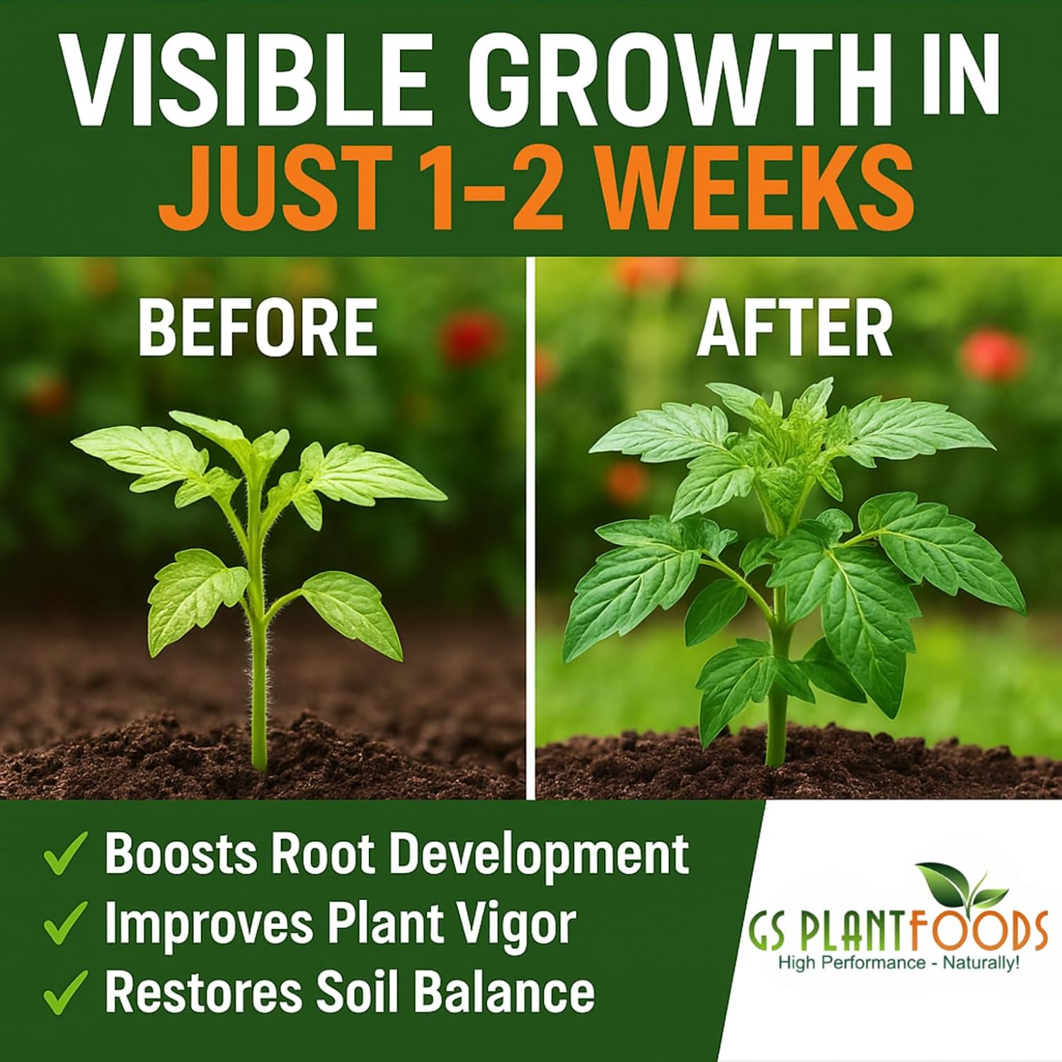GS Plant Foods Root Ruckus Compost Fertilizer Organic Plant Food - Turbo Charged Compost for Plants - Humic Acid & Sea Kelp Nutritional Root Supplement for Lawns, Soil, Shrubs & Vegetables - 1 Gallon