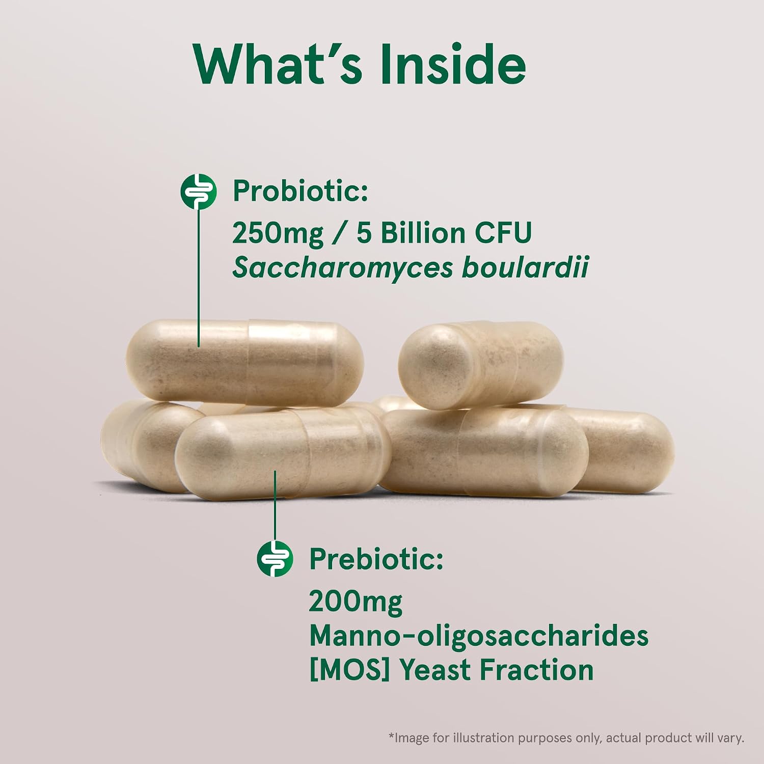Jarrow Formulas Saccharomyces Boulardii + MOS Probiotics for Digestive Health and Intestinal Tract Support - 5 Billion CFU Per Serving - 90 Delayed Release Caps - Probiotic + Prebiotic - 90 Servings | Intestinal Tract Support, 5 Billion CFU Per Serving,…