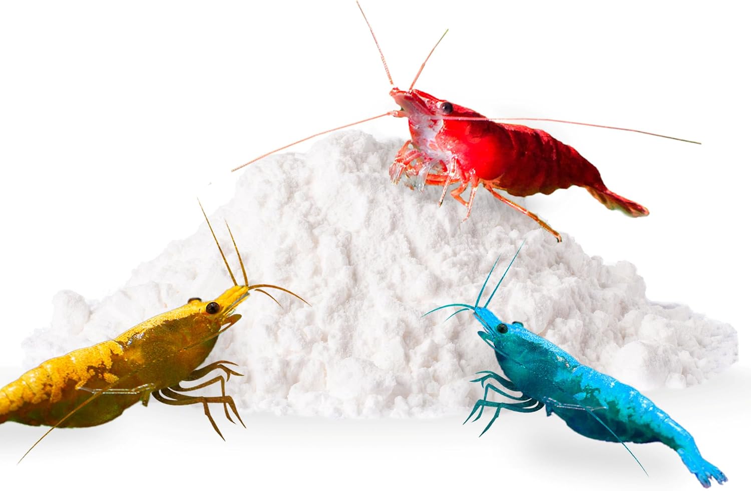 SunGrow Shrimp Rocks, Calcium, Magnesium Rocks for Crayfish, Hermit Crab, Snails, Crustacean Care, Aquarium Decor for Crystal Red, Amano and Ghost Shrimps, Nano Tank Accessories, Fish Tank Supplies