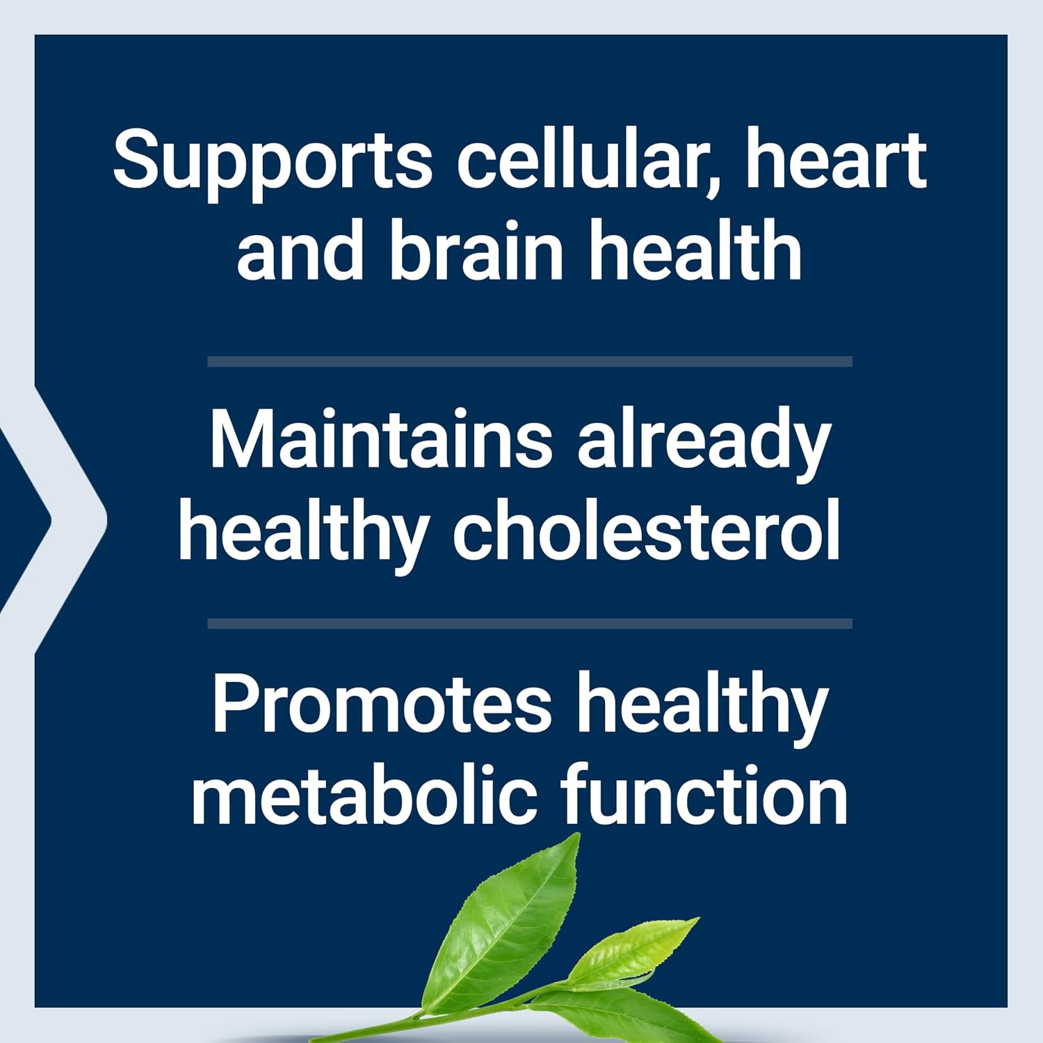 Life Extension Lightly Caffeinated Mega Green Tea Extract, Camellia sinensis Extract with Concentrated EGCG polyphenol Content, Gluten-Free, Non-GMO