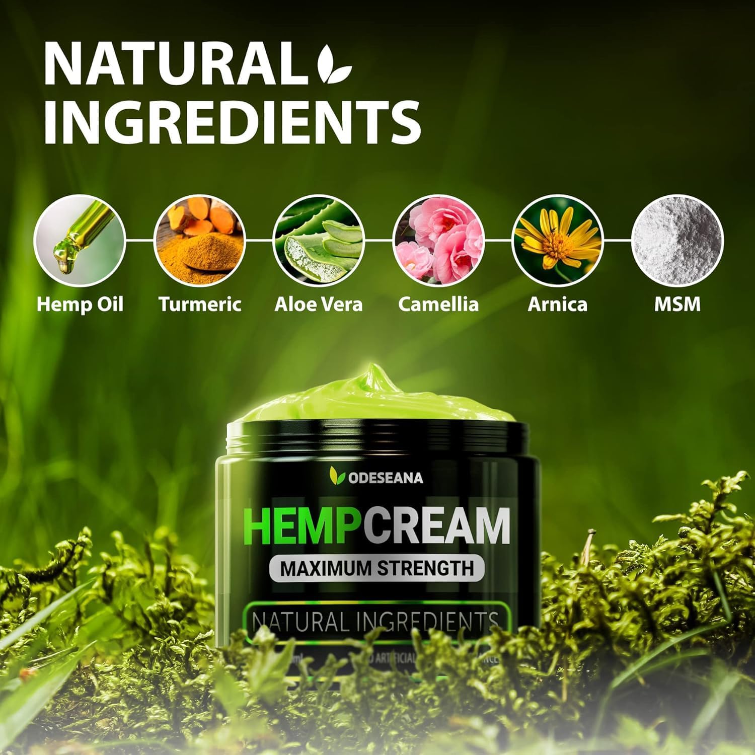 Hemp Cream with Arnica, Hemp Oil, MSM - 2 Pack - Maximum Strength Skin Care