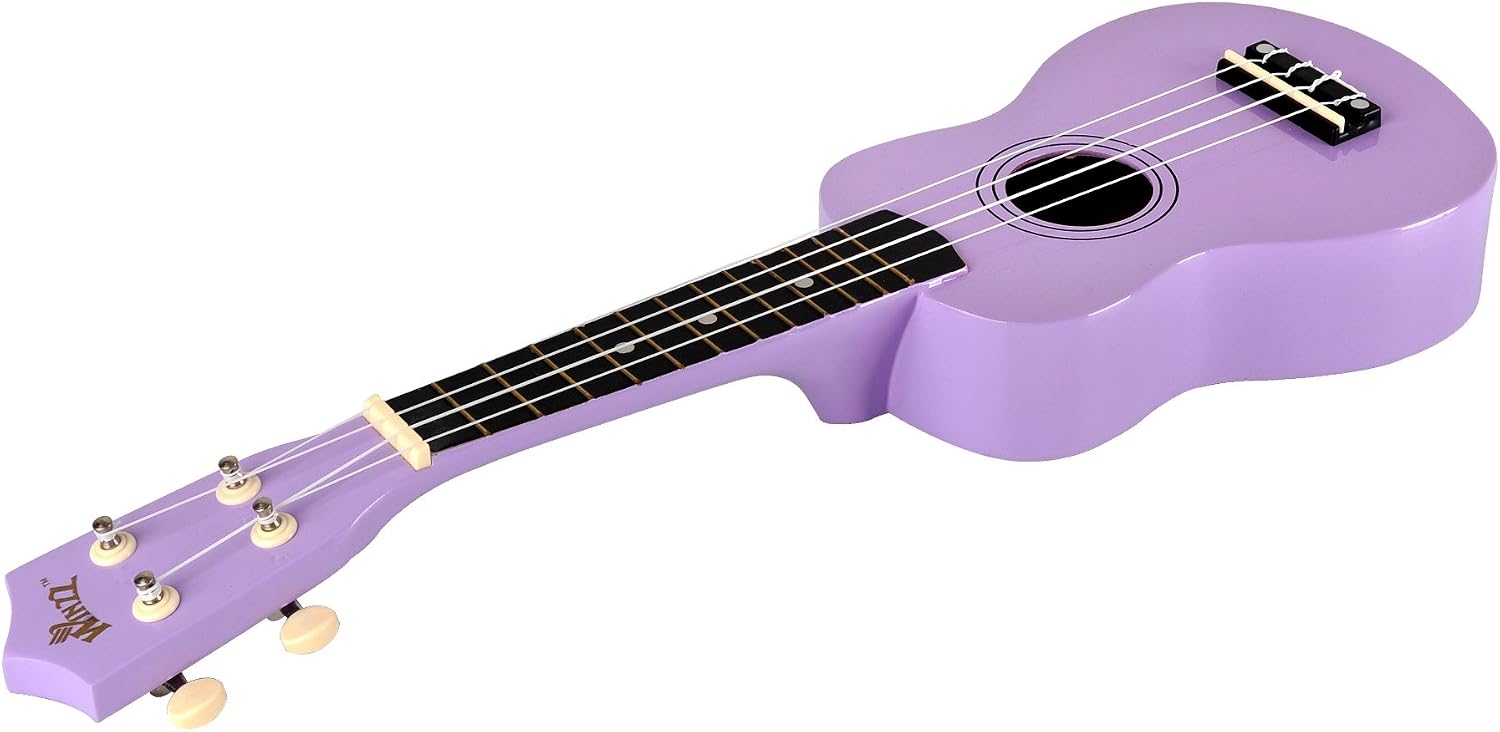 Winzz Soprano Ukulele Starter Kit For Beginners with Bag, Clip-On Tuner, Extra Strings, Strap, Plectrum, Fret Stickers, Chords Card, Polishing Cloth, Black