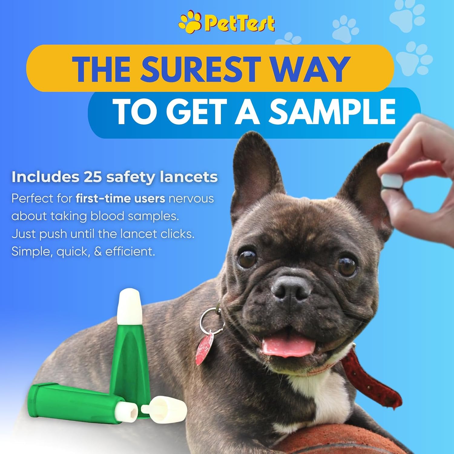 PetTest Genteel Glucose Monitor Kit for Dogs and Cats, Pain-Free Testing